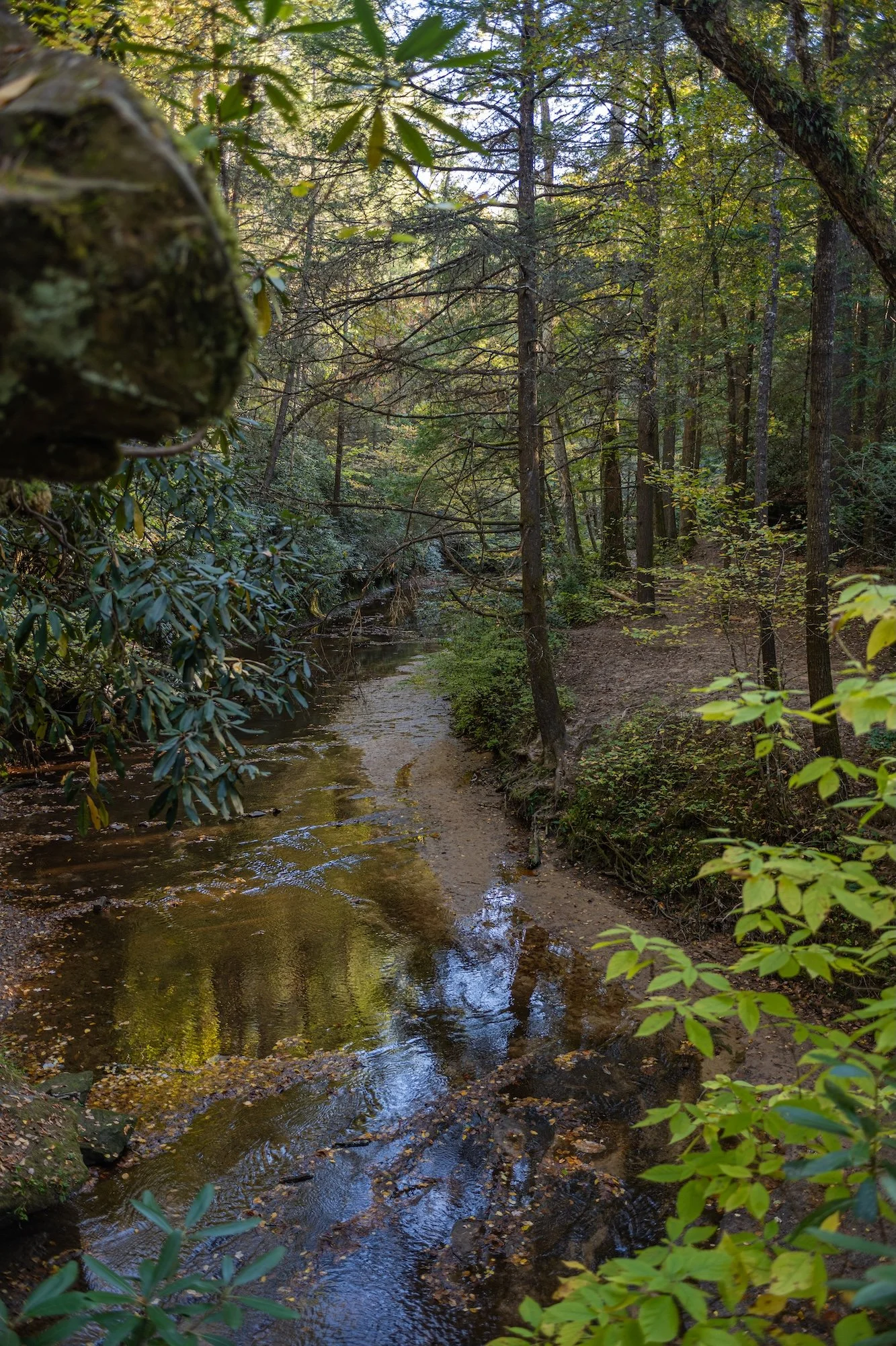 DSC_6429.jpg