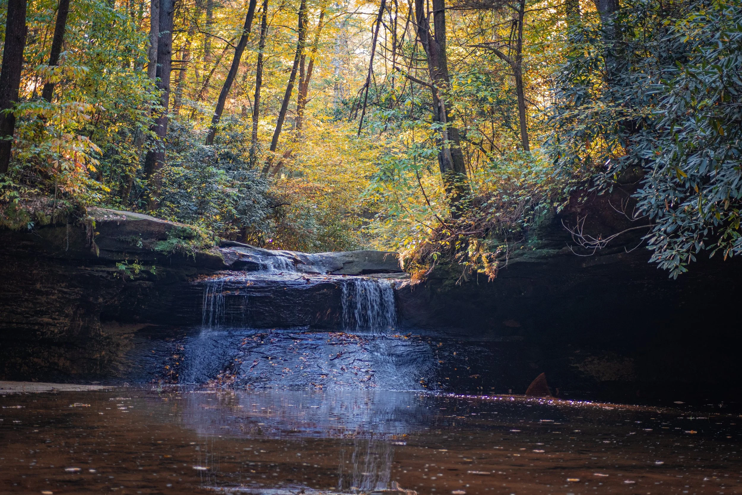 DSC_6441.jpg