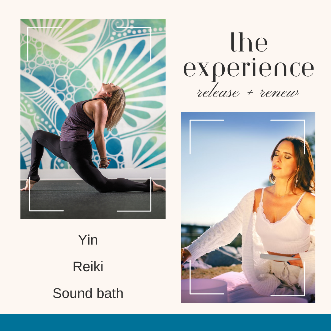 The Experience (1).png