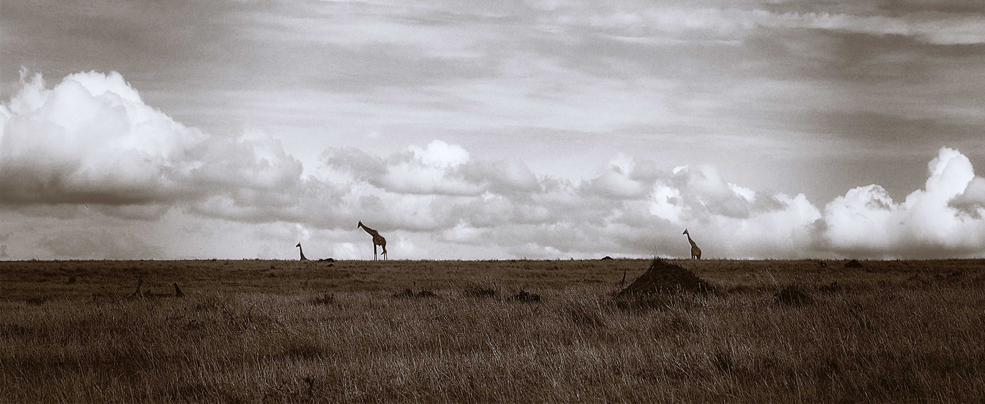 Northern Serengeti