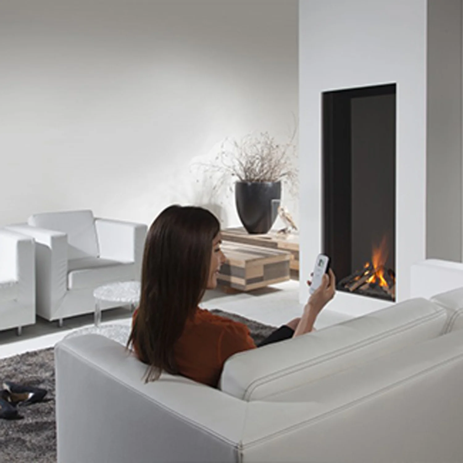 European Home Sky View Full Specs Whether you’re looking for sleek materials, such as brushed stainless, or a unique multi-sided unit for that special room, European Home offers a complete line of direct vent and vent-free indoor and outdoor gas fireplaces.