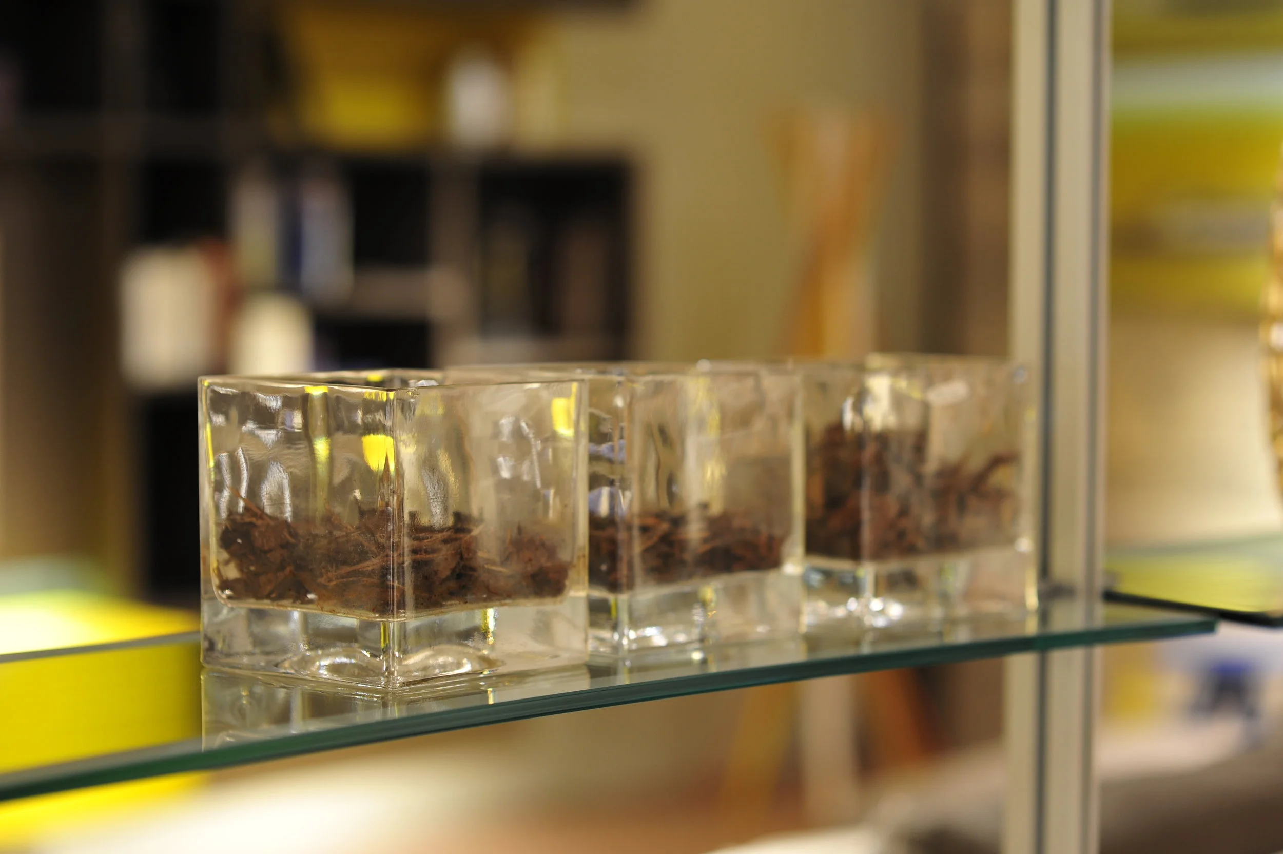 Mobili Marini - Fonte Nuova (RM)