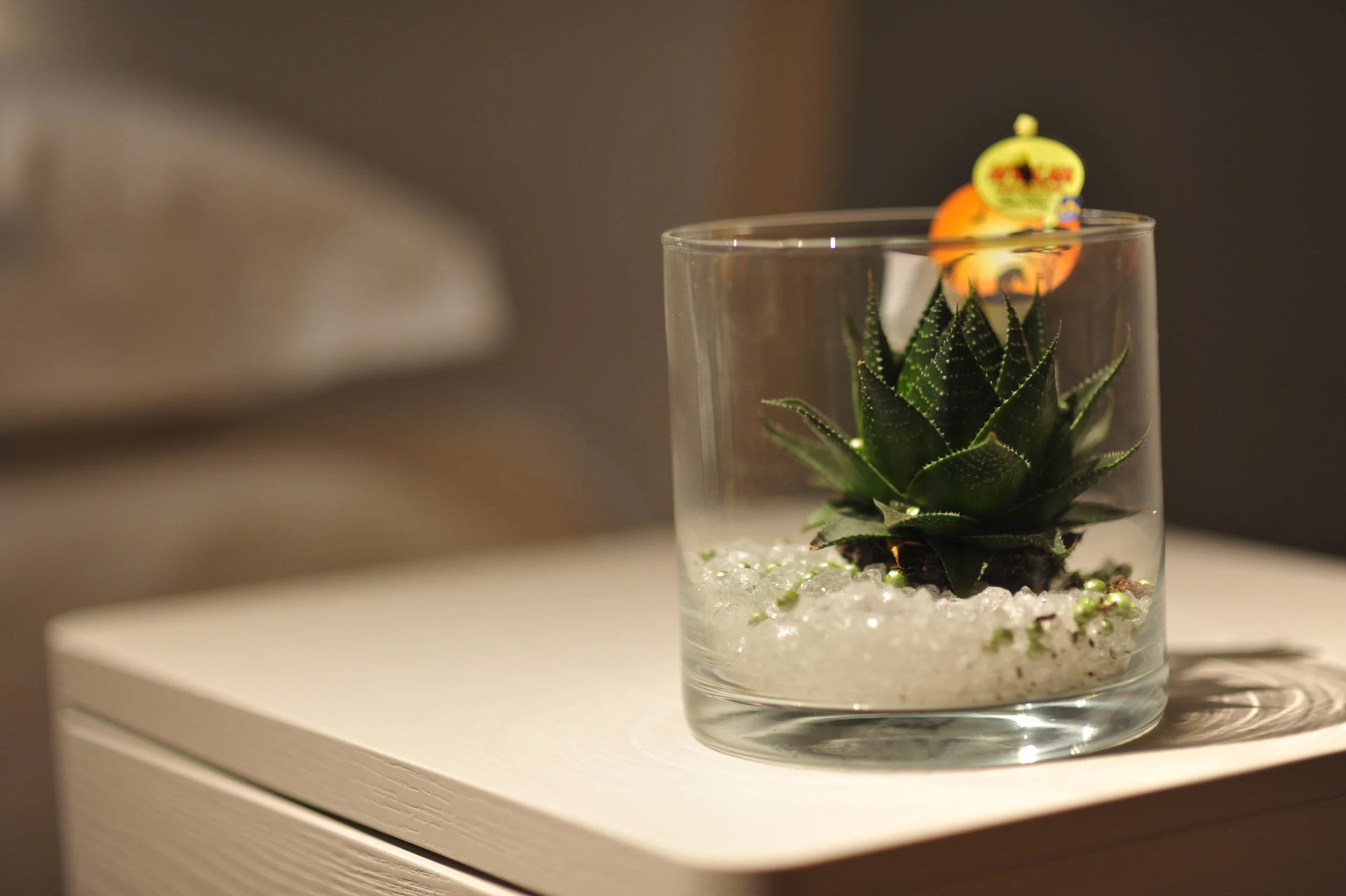 Mobili Marini - Fonte Nuova (RM)