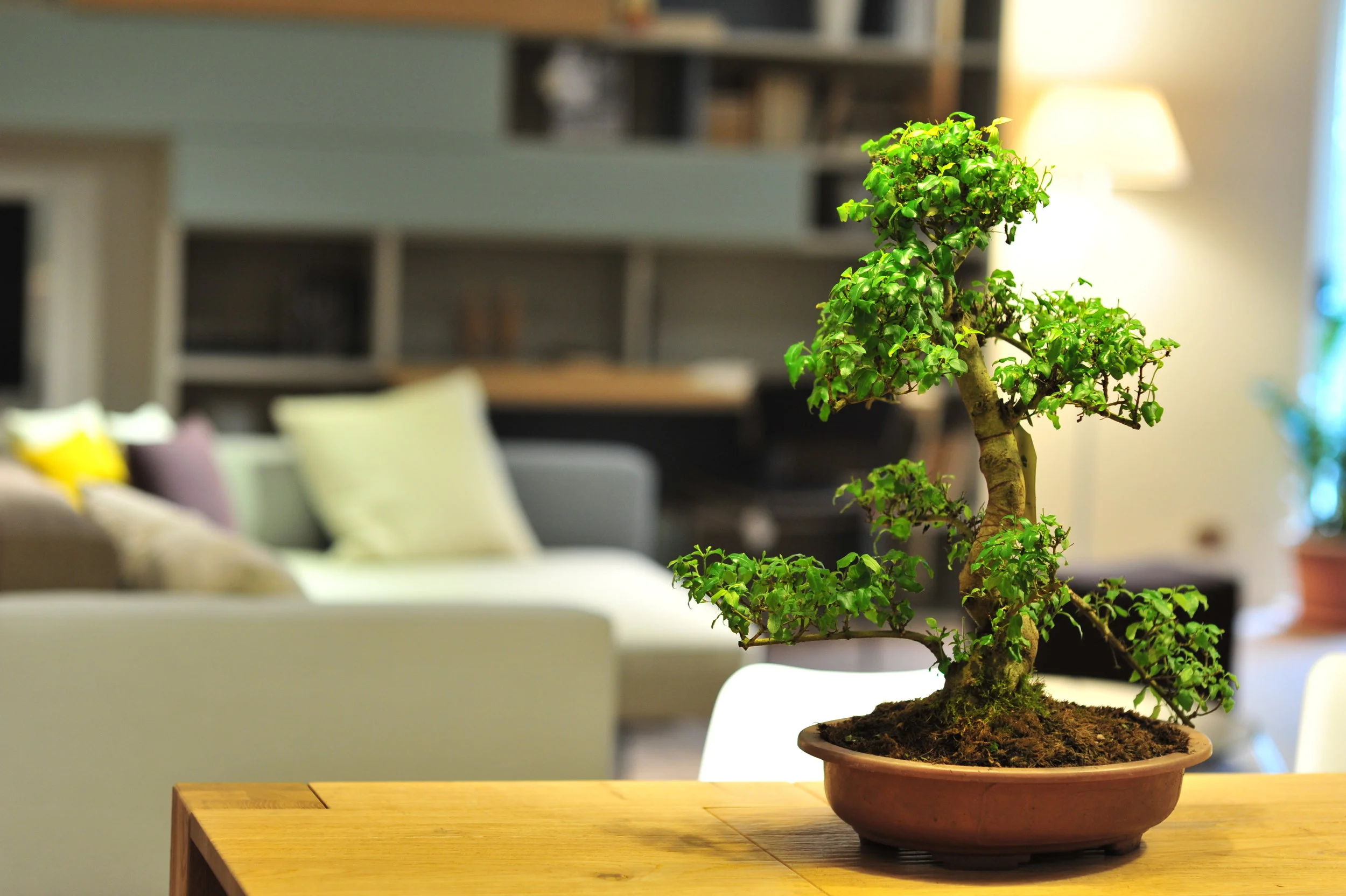 Mobili Marini - Fonte Nuova (RM)