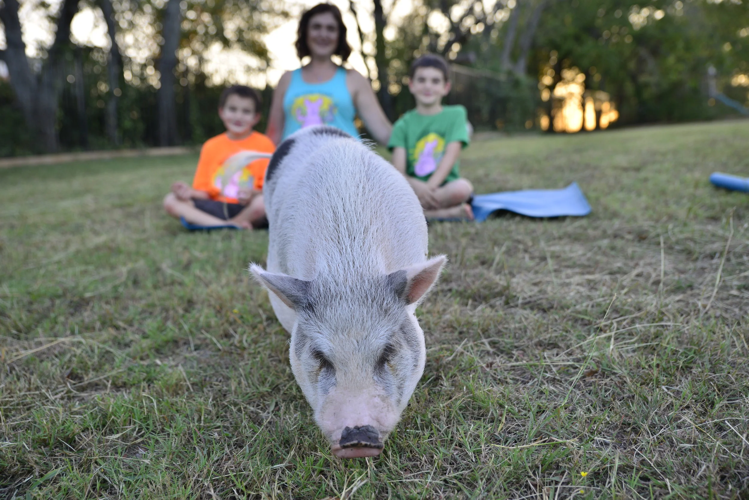 Wilbur...our youngest yogi