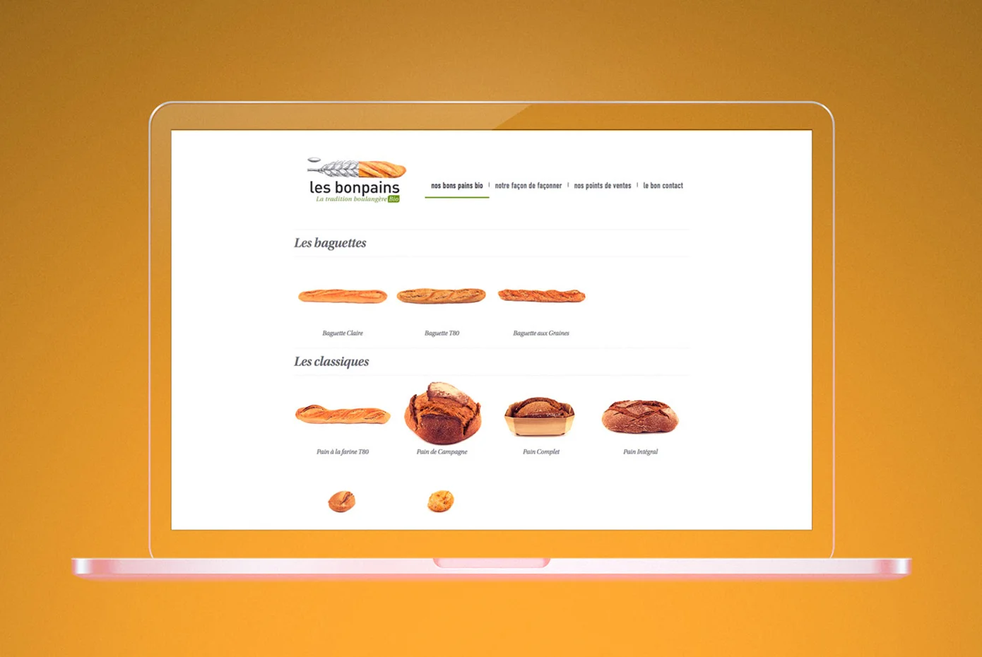 remiisrael-web-design-LBP.jpg