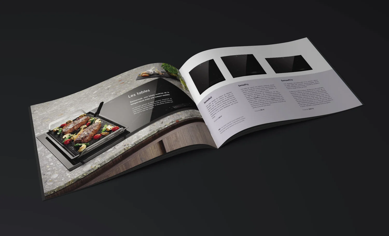 Remiisrael - graphisme - Electrolux Ogilvy 2