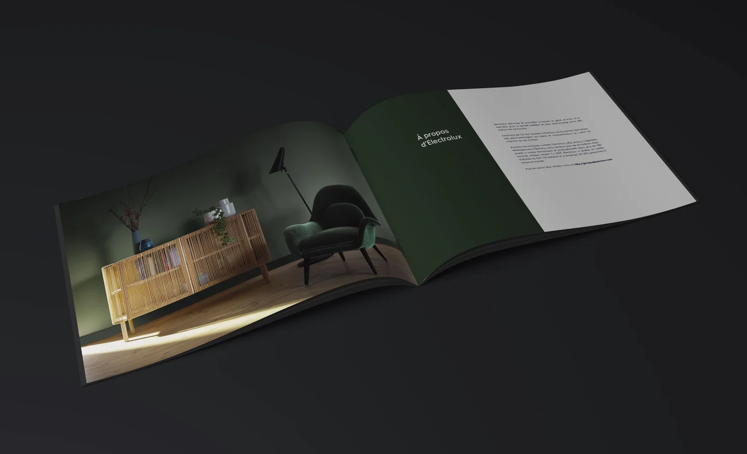 Remiisrael - graphisme - Electrolux Ogilvy 3