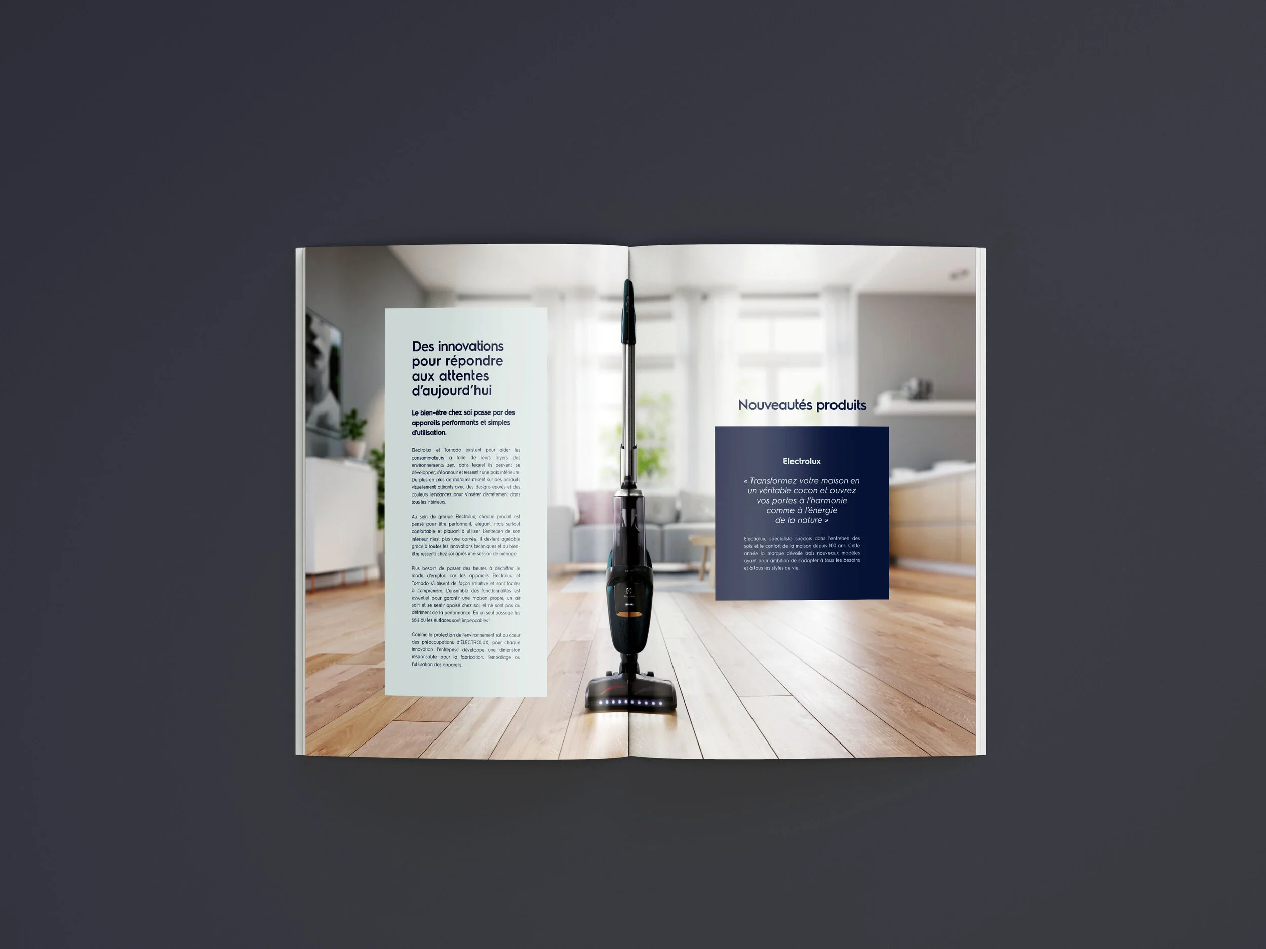 Remiisrael - graphisme - Electrolux Ogilvy 5