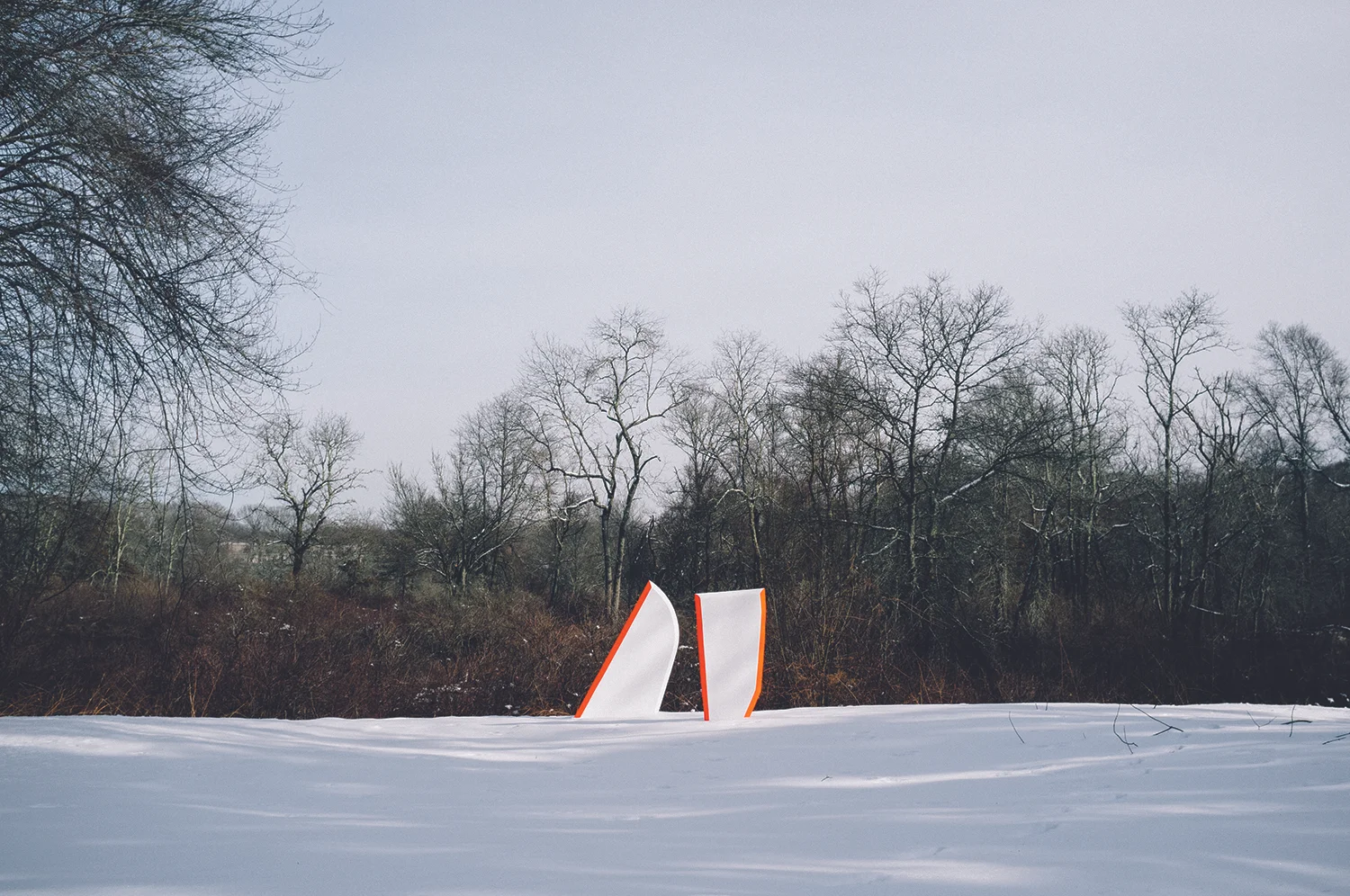 Flotables: Westerly