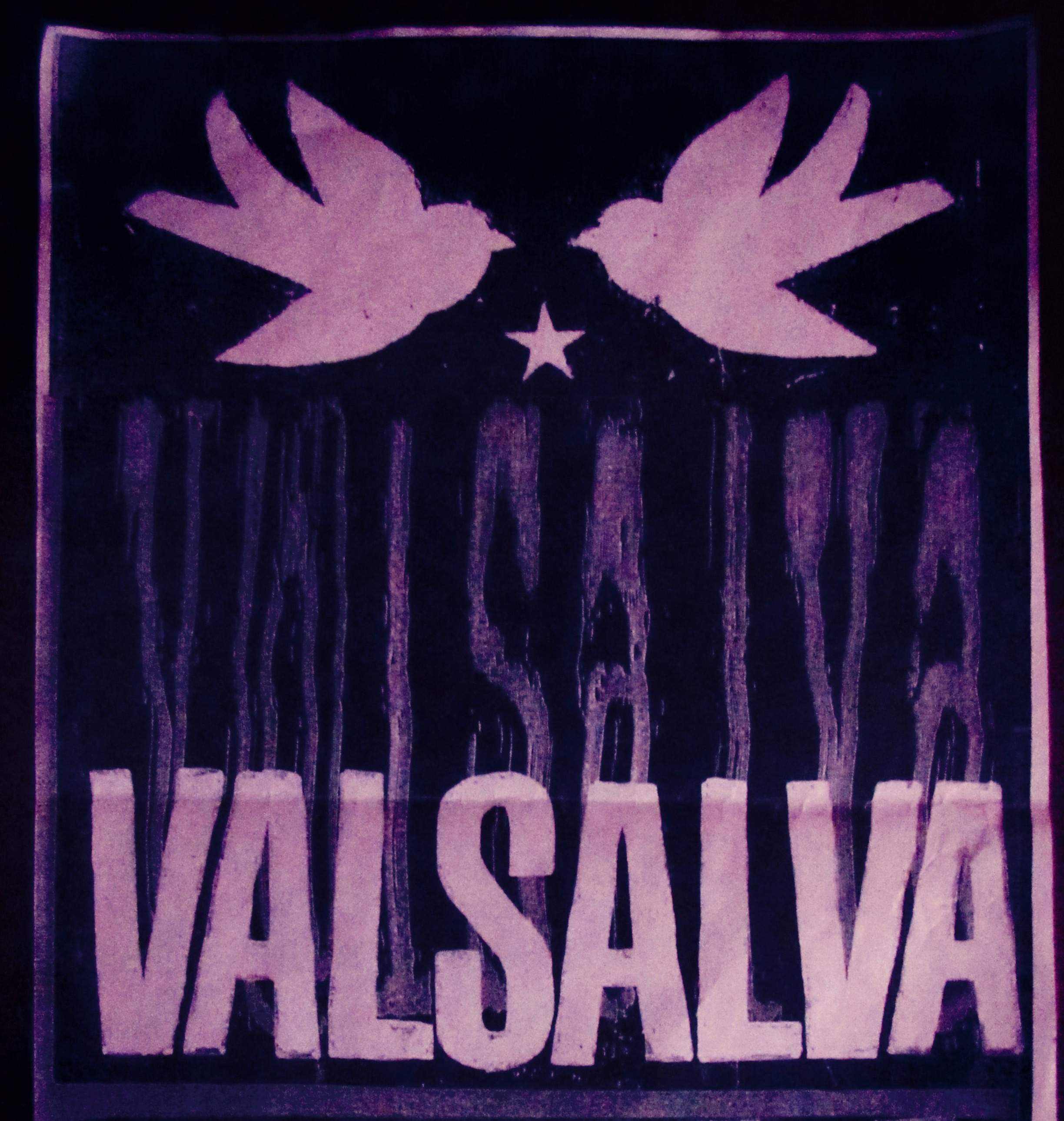 Valsalva logo.jpg