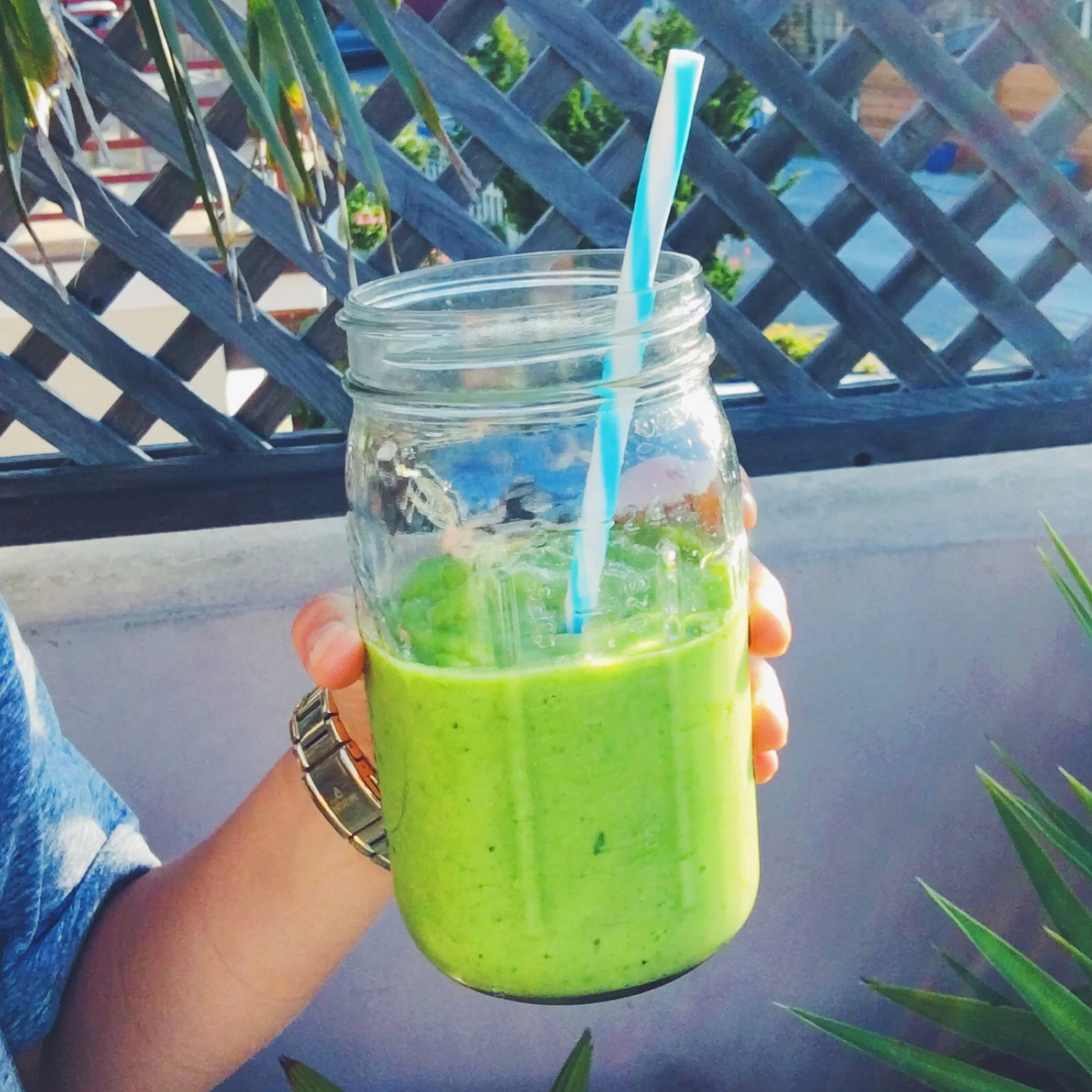 coconut green.jpg