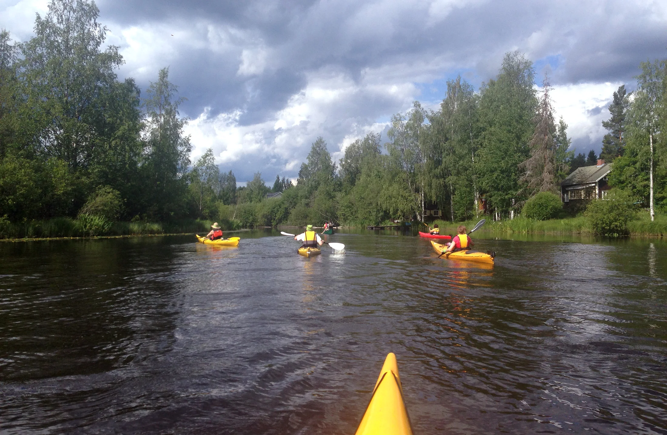 Tervareitin kartoitusta Alajärven Kurejoella 29.6.2014