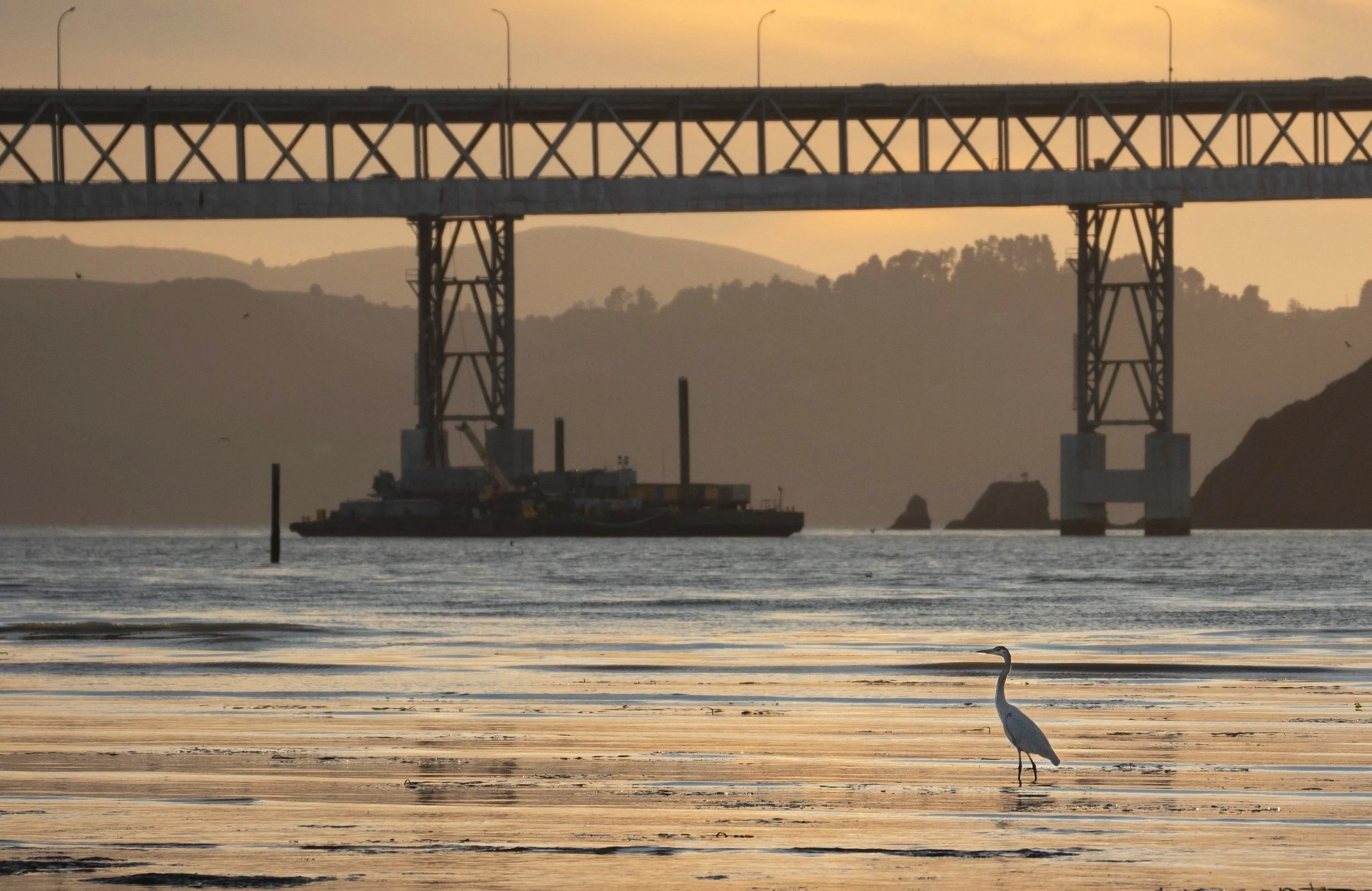 Egret%2BBridge23.jpg