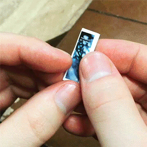 BONUS MINI BROCHURE