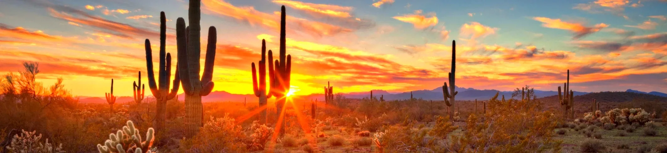 background-desert.webp
