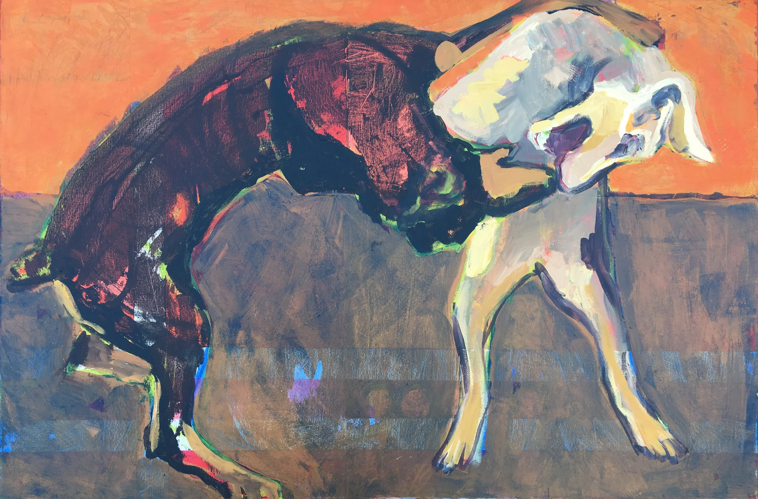 dogs in conflict 2