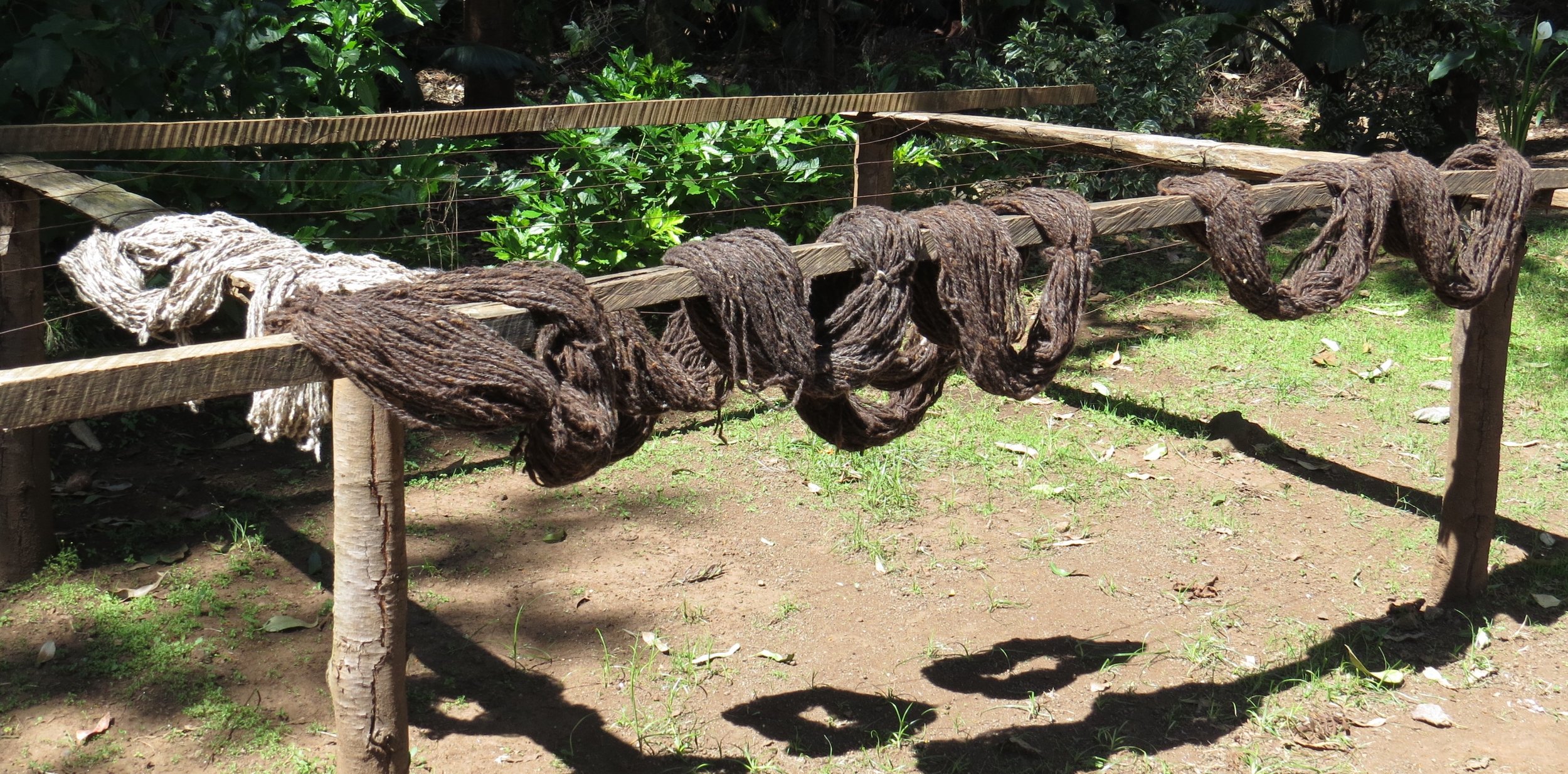 Yarn, spun, washed and out to dry