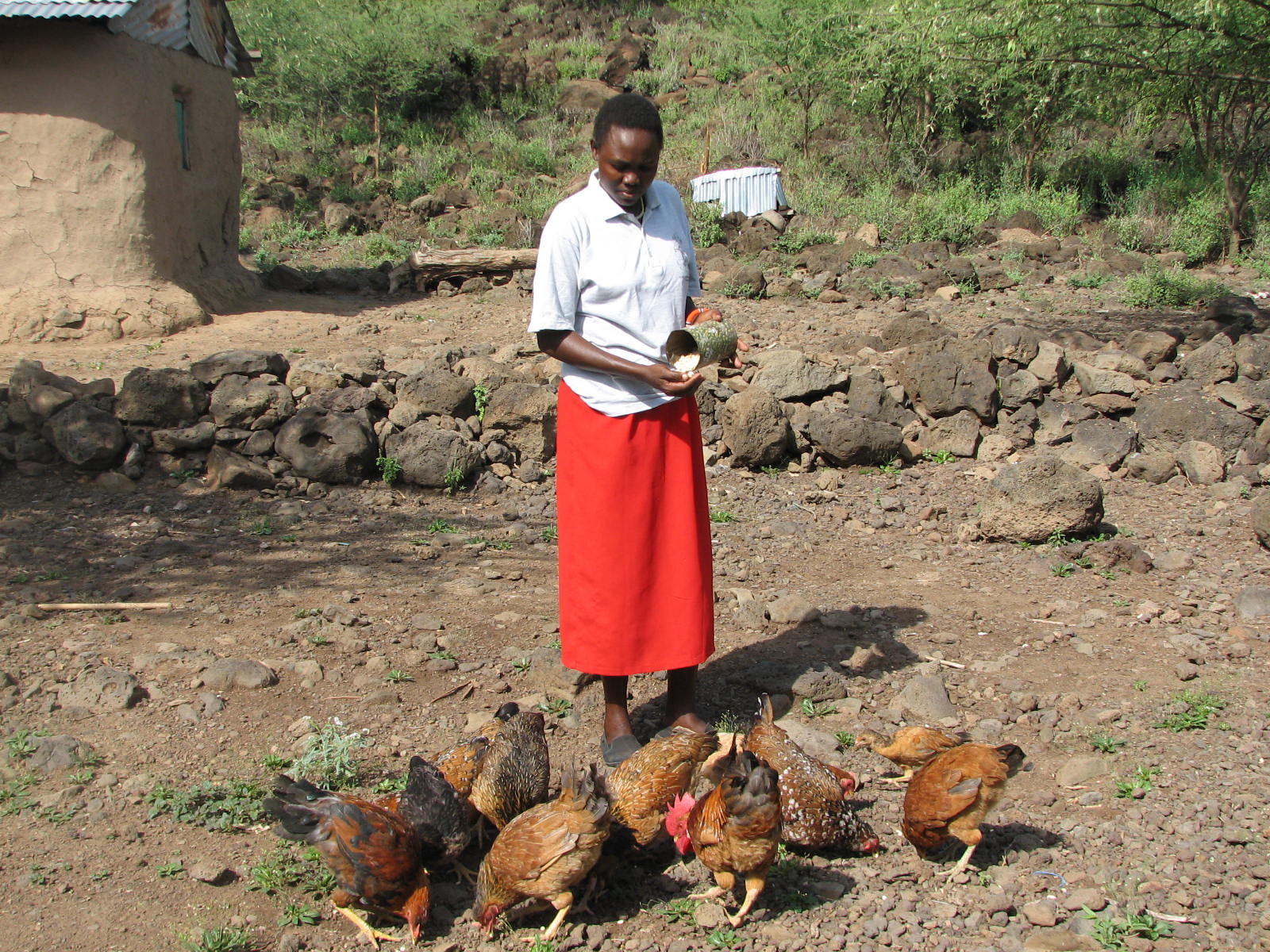 Grace Koinale with her chickens 