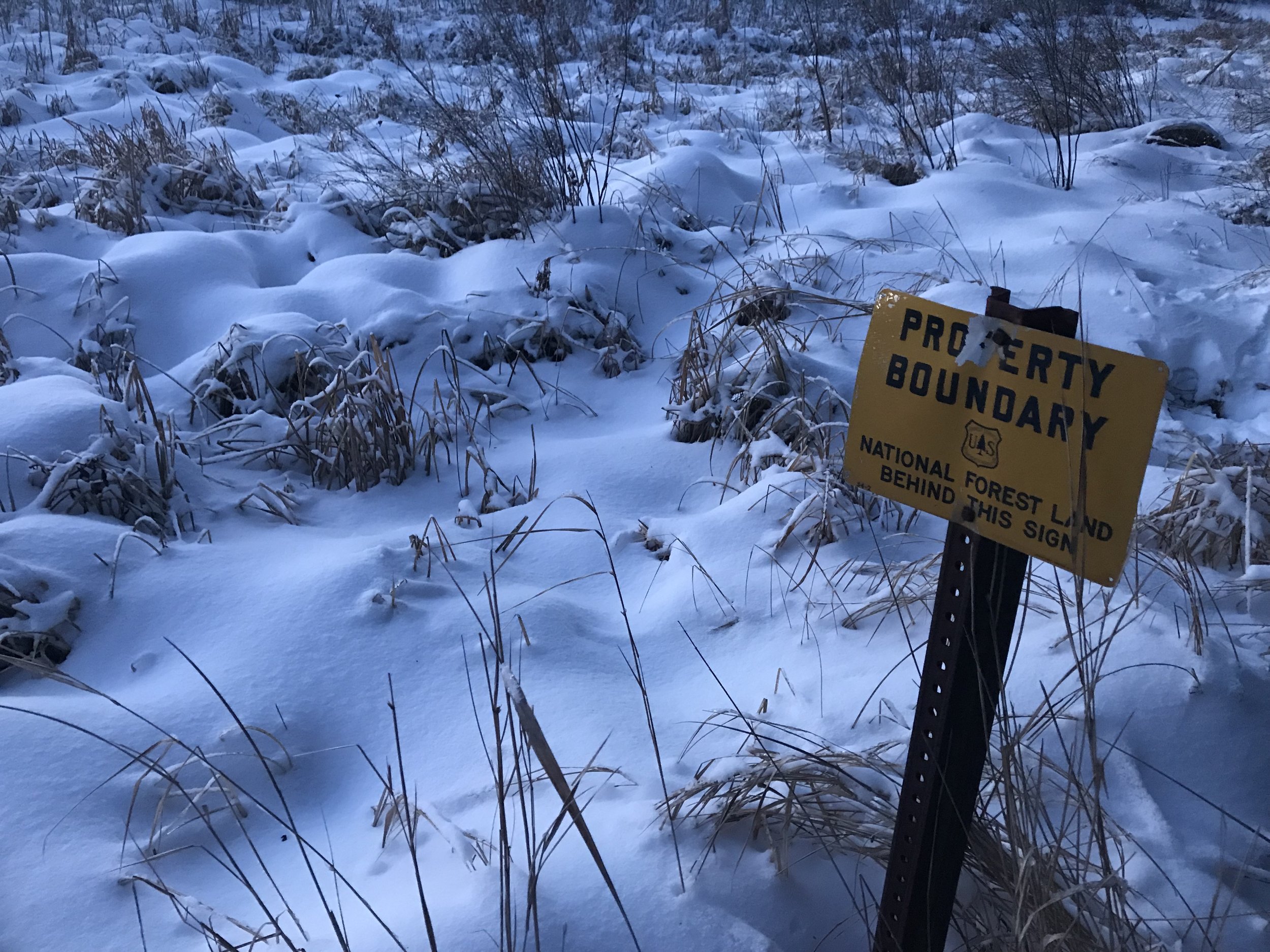 Chequamegon National Forest, Wisconsin