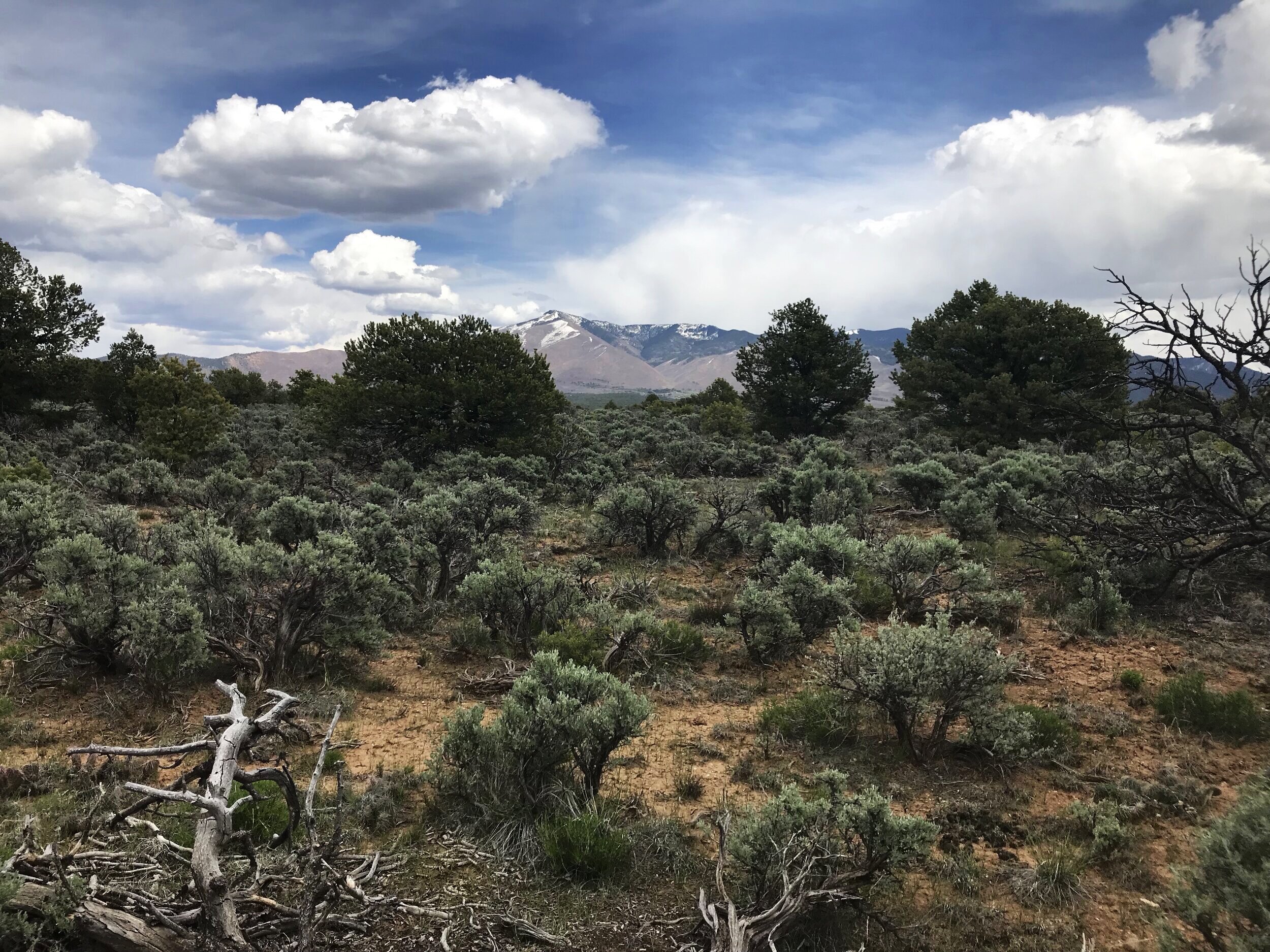 Rio Grande National Monument, NM