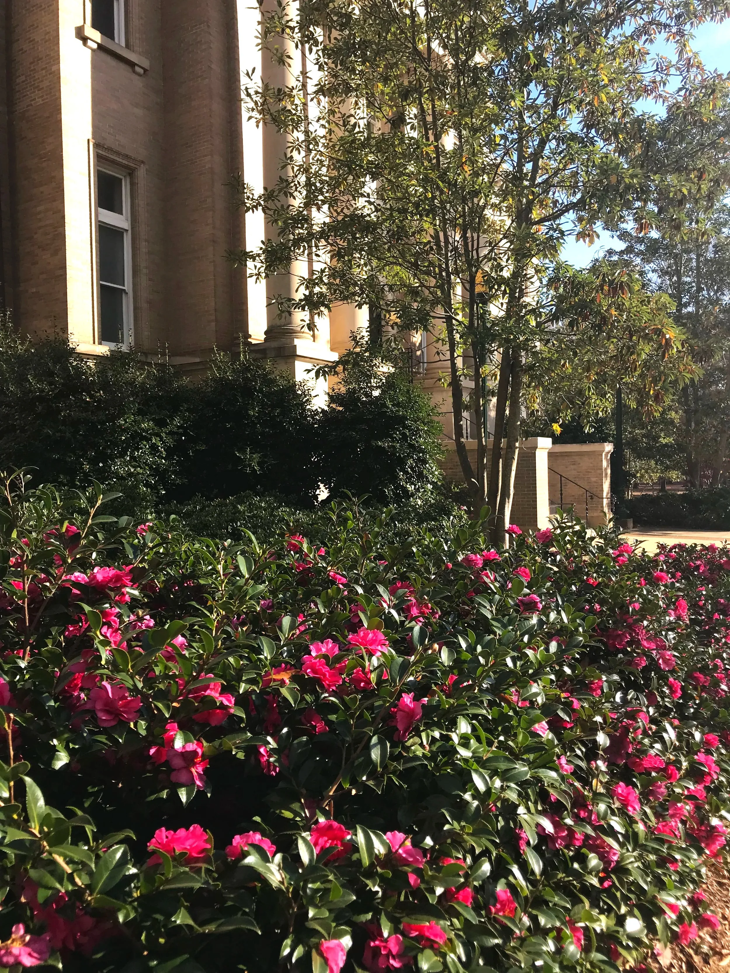 University of Mississippi, December