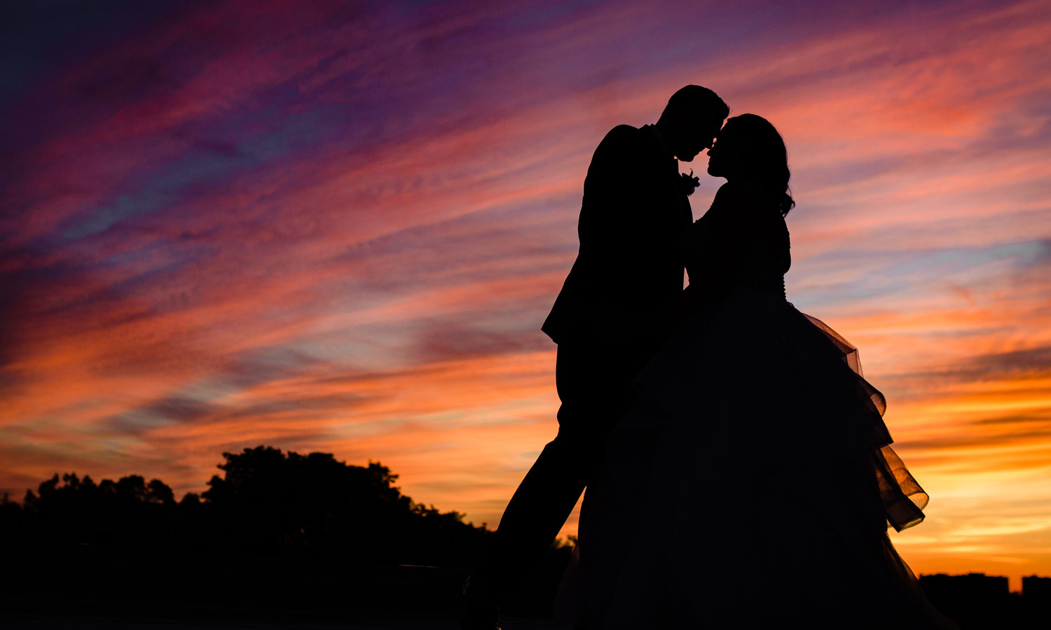 best-wedding-photographers-toronto-sunset -silhouette.jpg