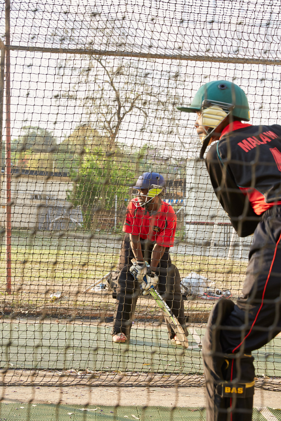 cricket_together_juliagunther_NEW.jpg