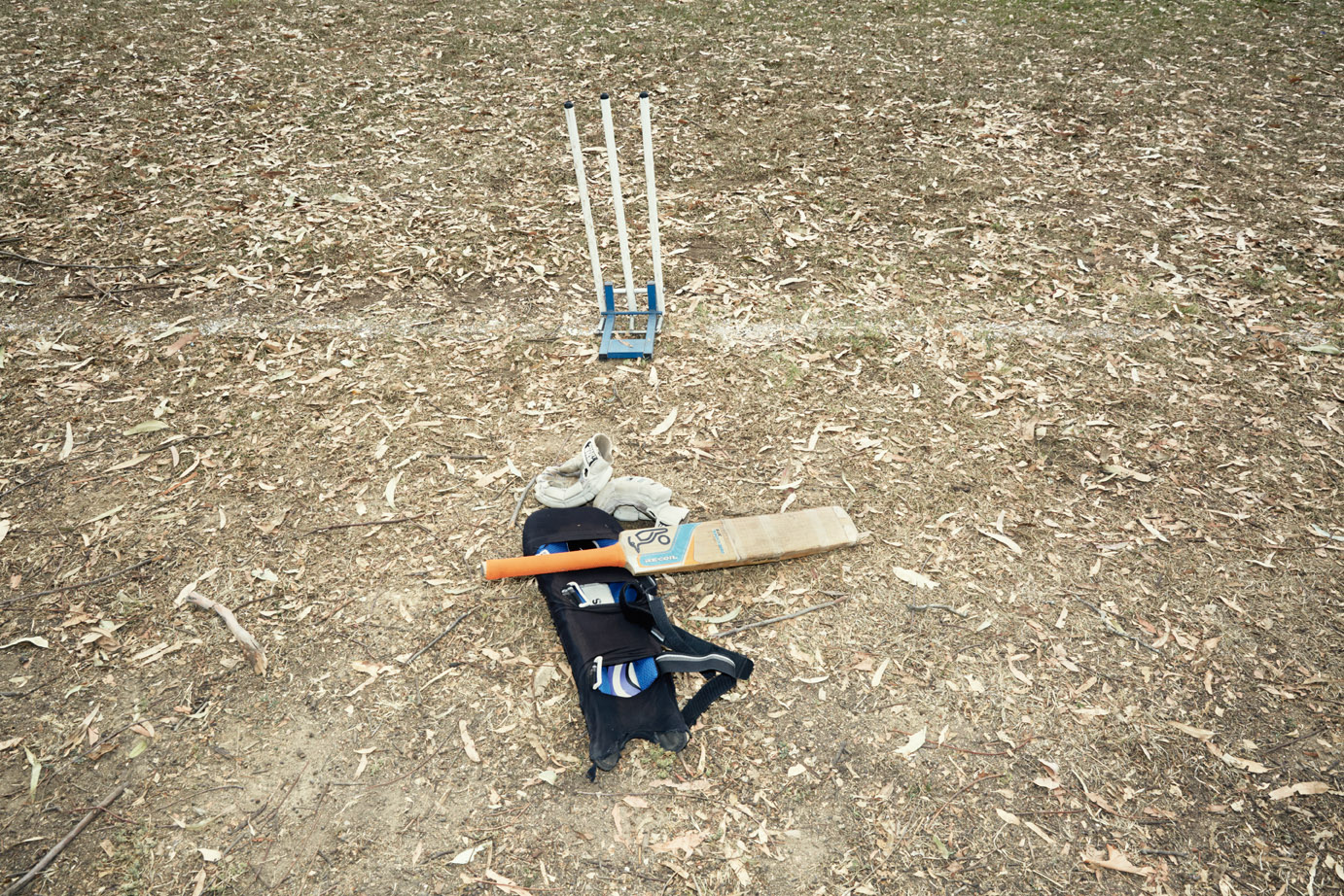 cricket_bat_juliagunther_NEW.jpg