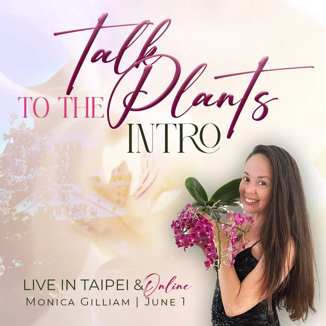 TALK TO THE PLANTS - INTRO