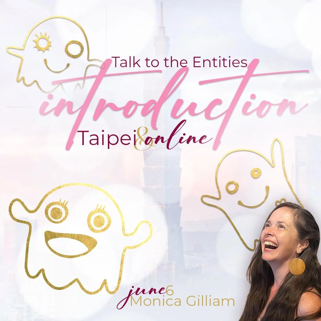 Introduction to Talk to the Entities