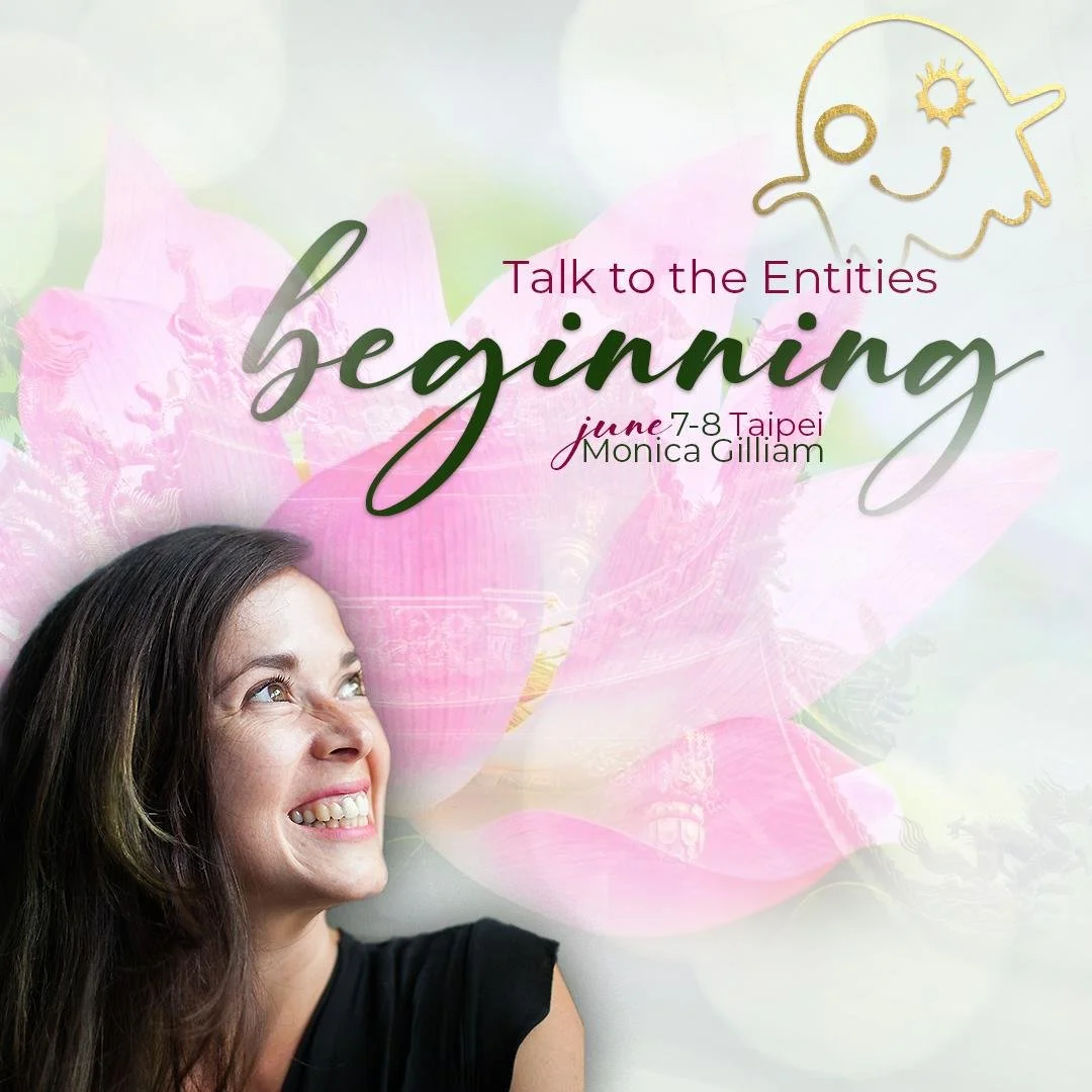 Talk to the Entities The Beginning