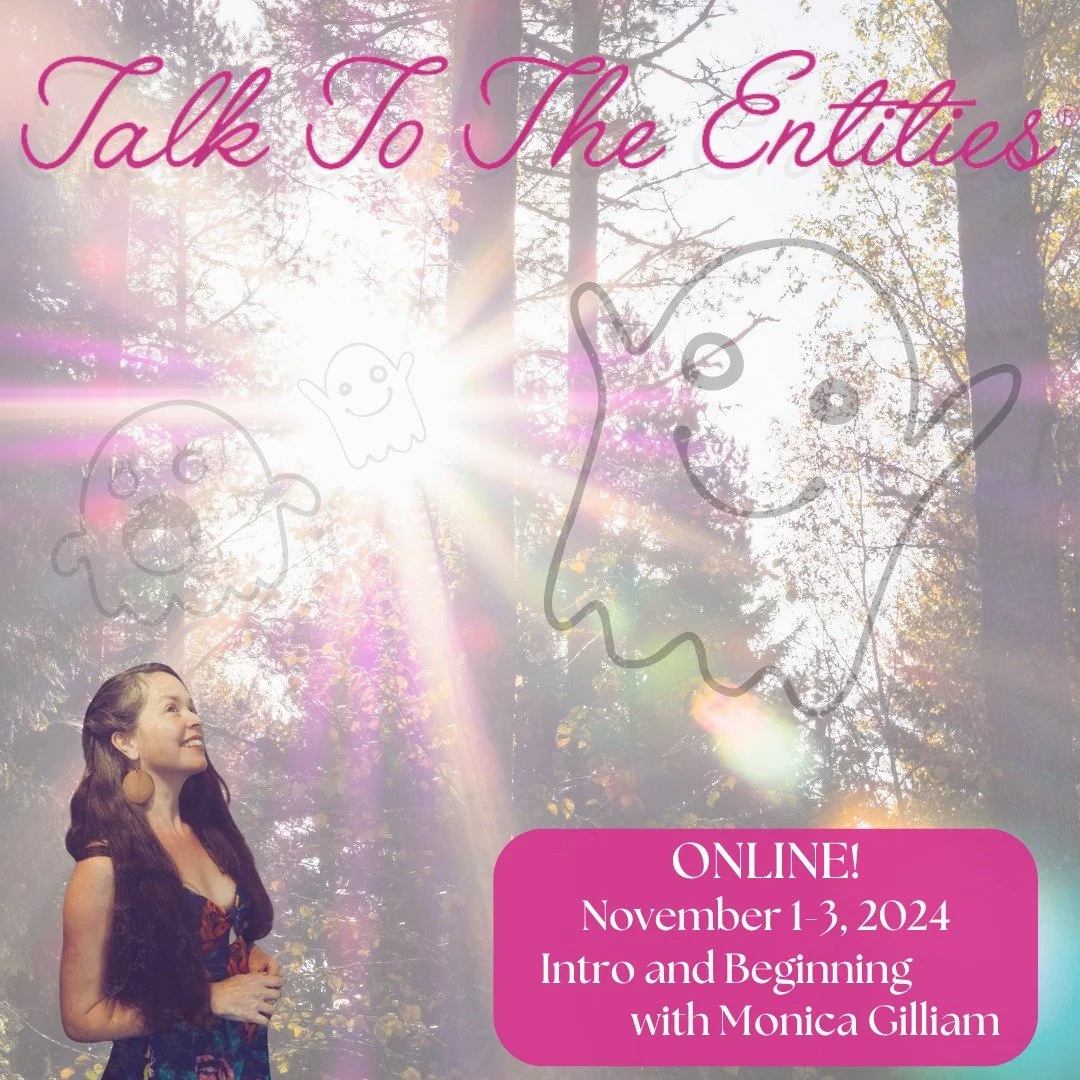 Talk to the Entities The Beginning