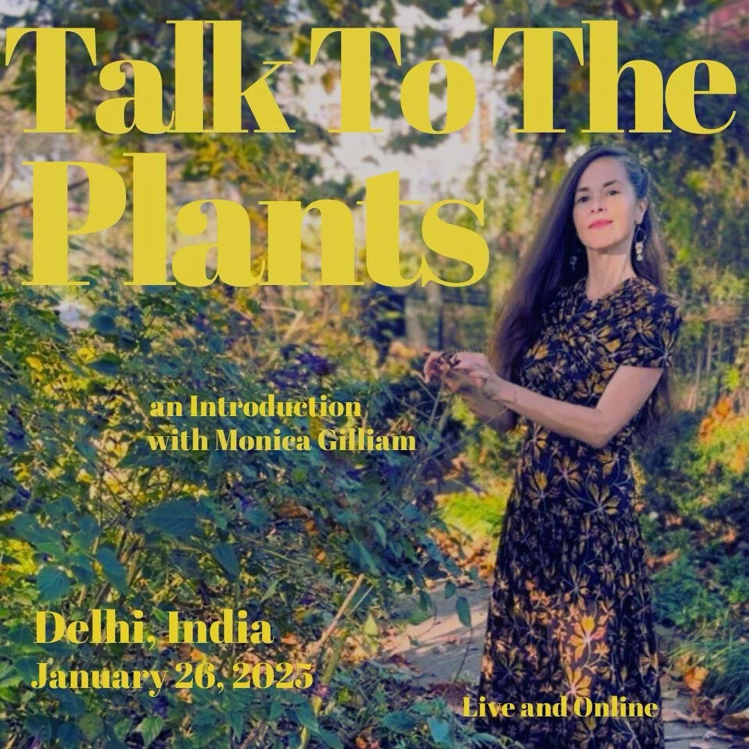 Introduction to Talk to the Plants