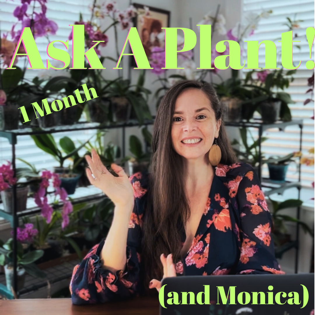 Ask A Plant (2).png