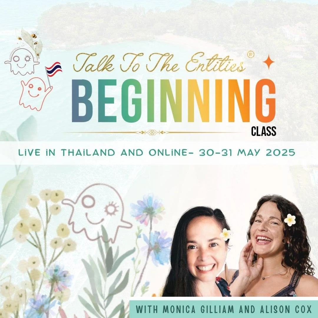 Talk to the Entities The Beginning Thailand