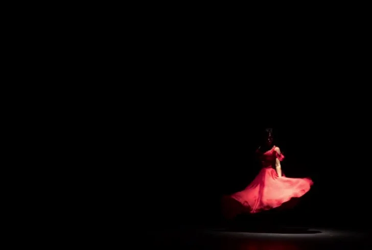 flamenco_t.jpg
