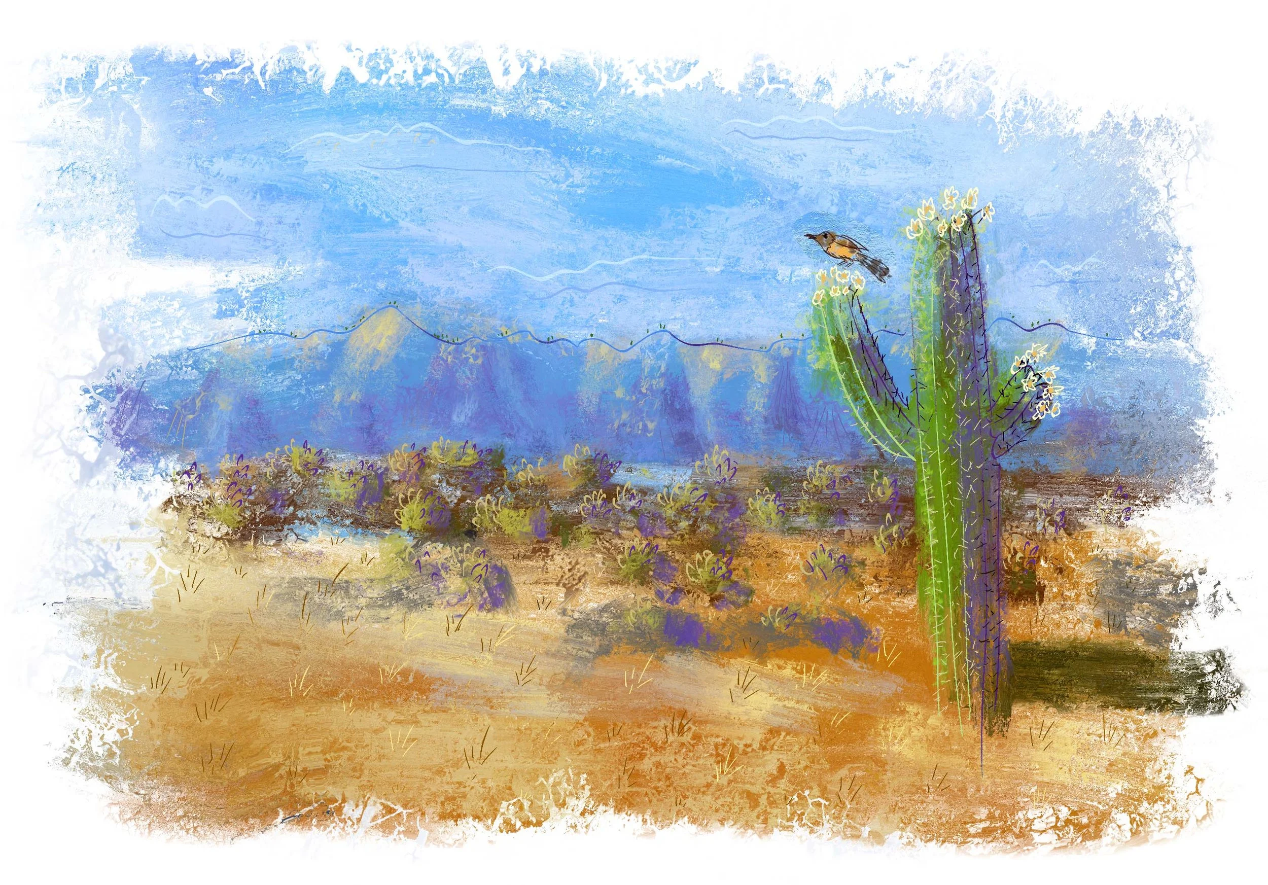 borrego_web.jpg