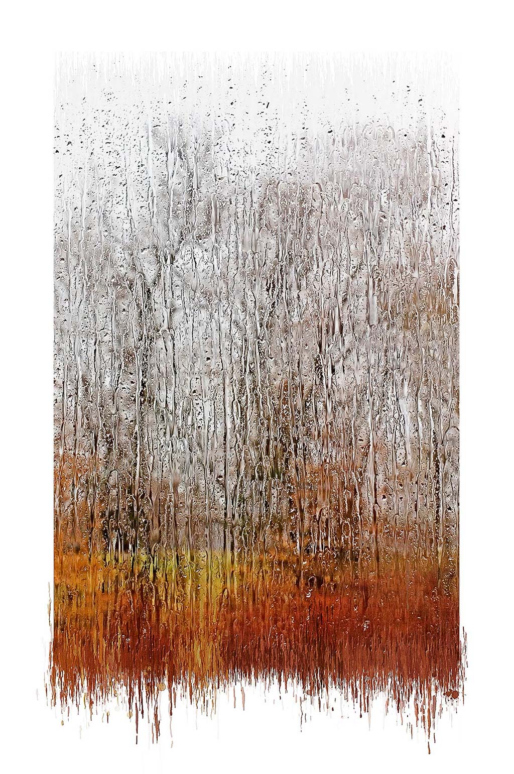 Equinox, 2006