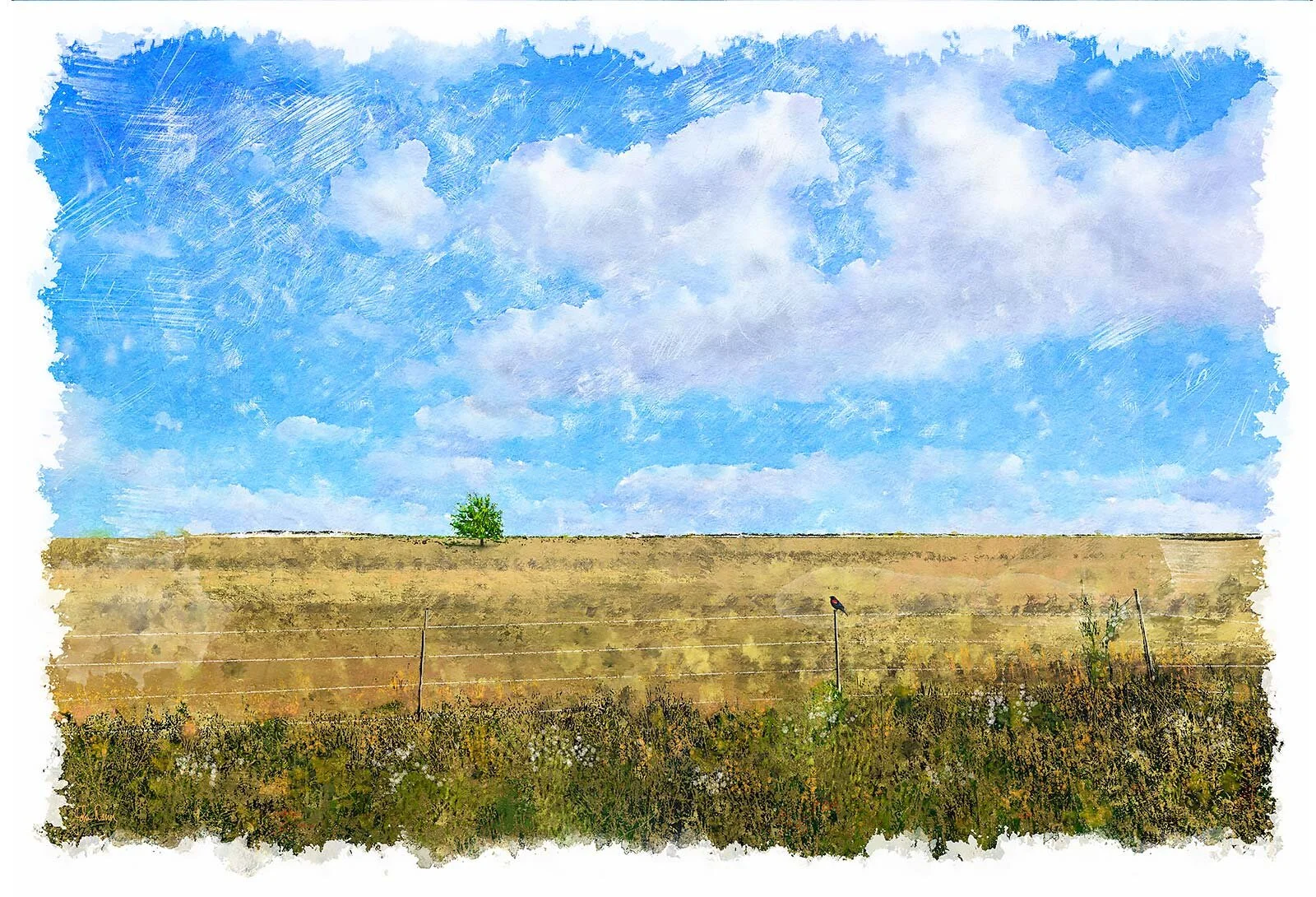 Recent landscape painting using Emergence for textured areas.