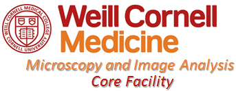 Microscopy and Image Analysis Core Facility