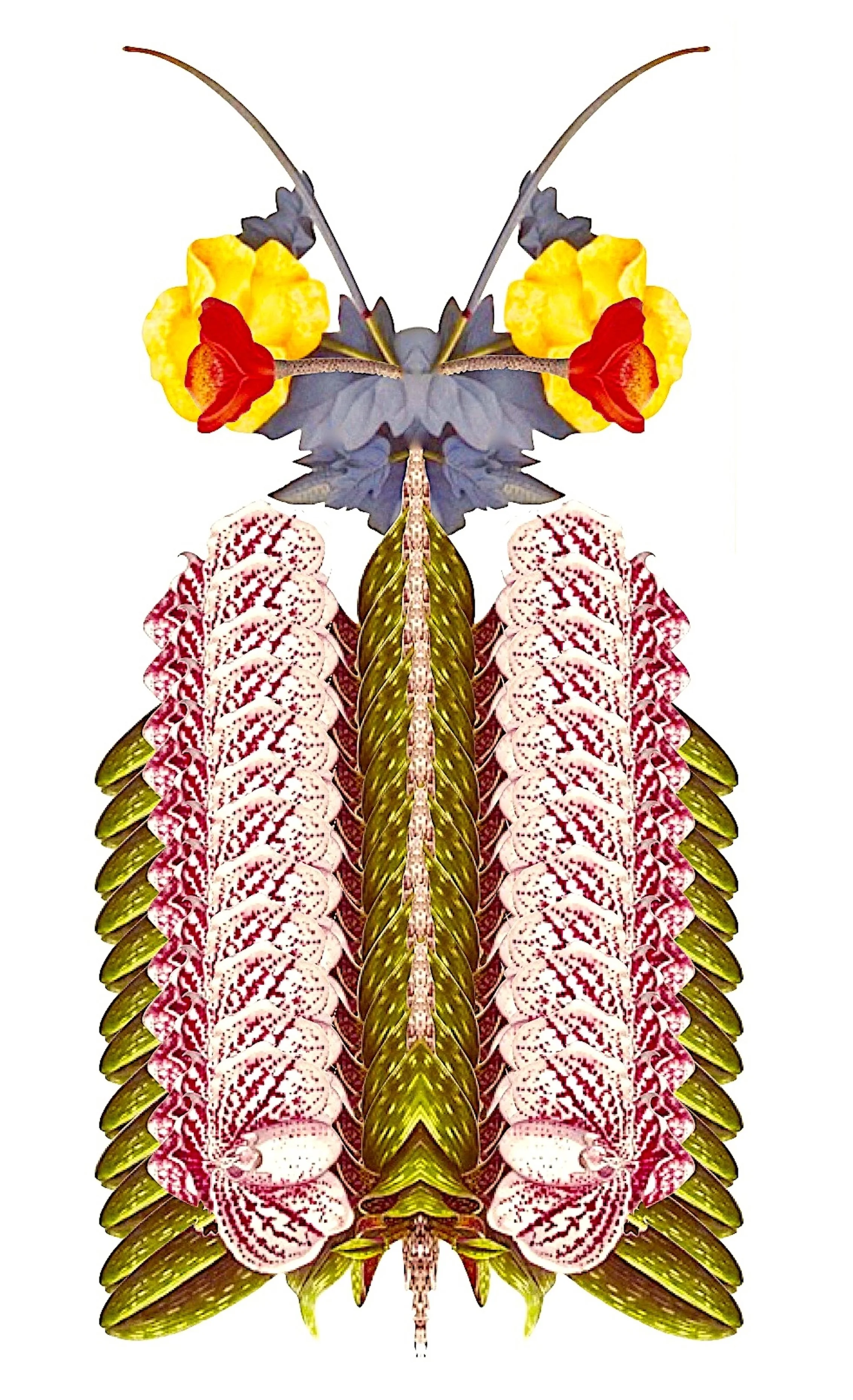 6 The Enigma of Balance  bill wolak.jpg