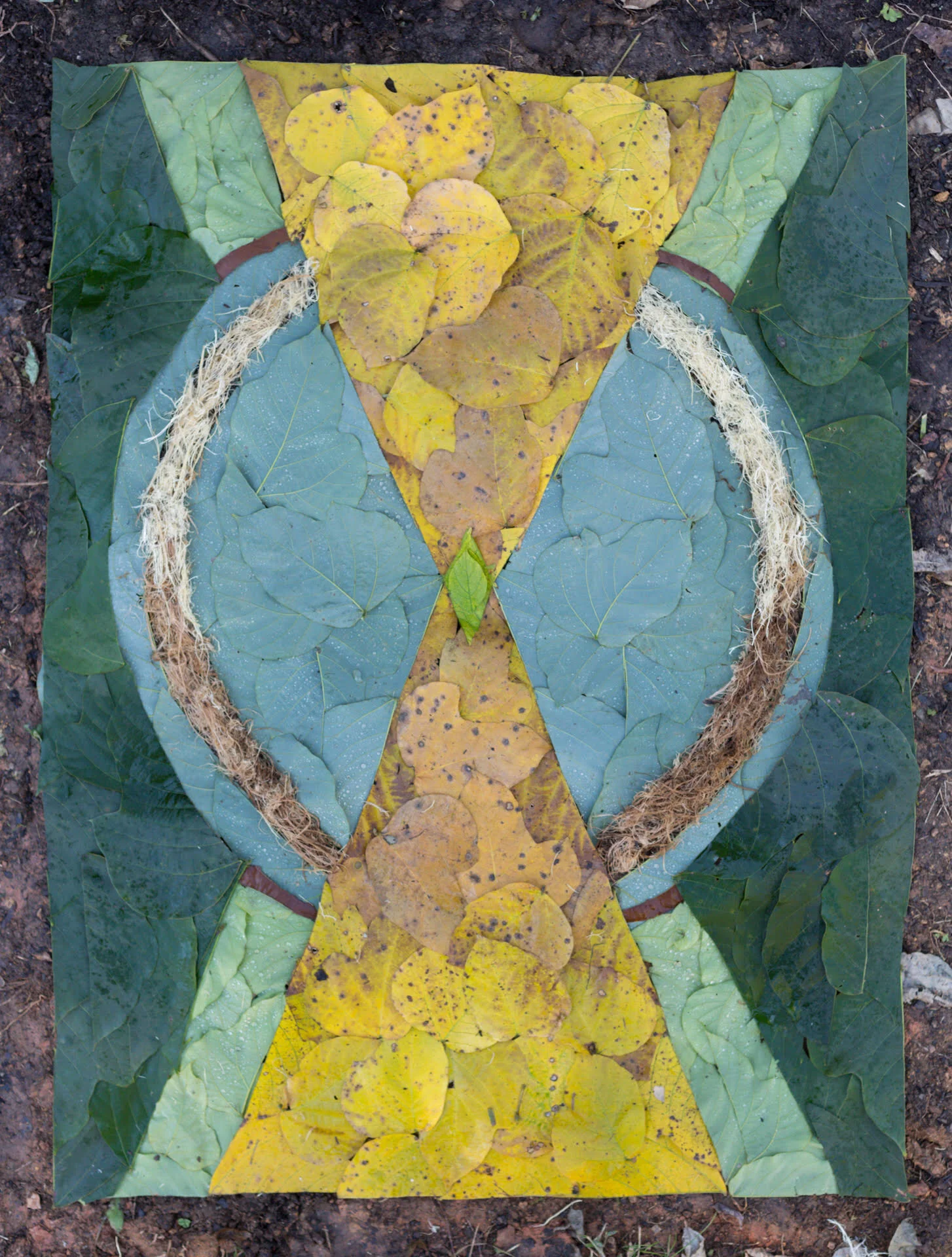 Lauren Farkas nverse kudzu vine and kudzu leaves on soil 20”x30” 2020