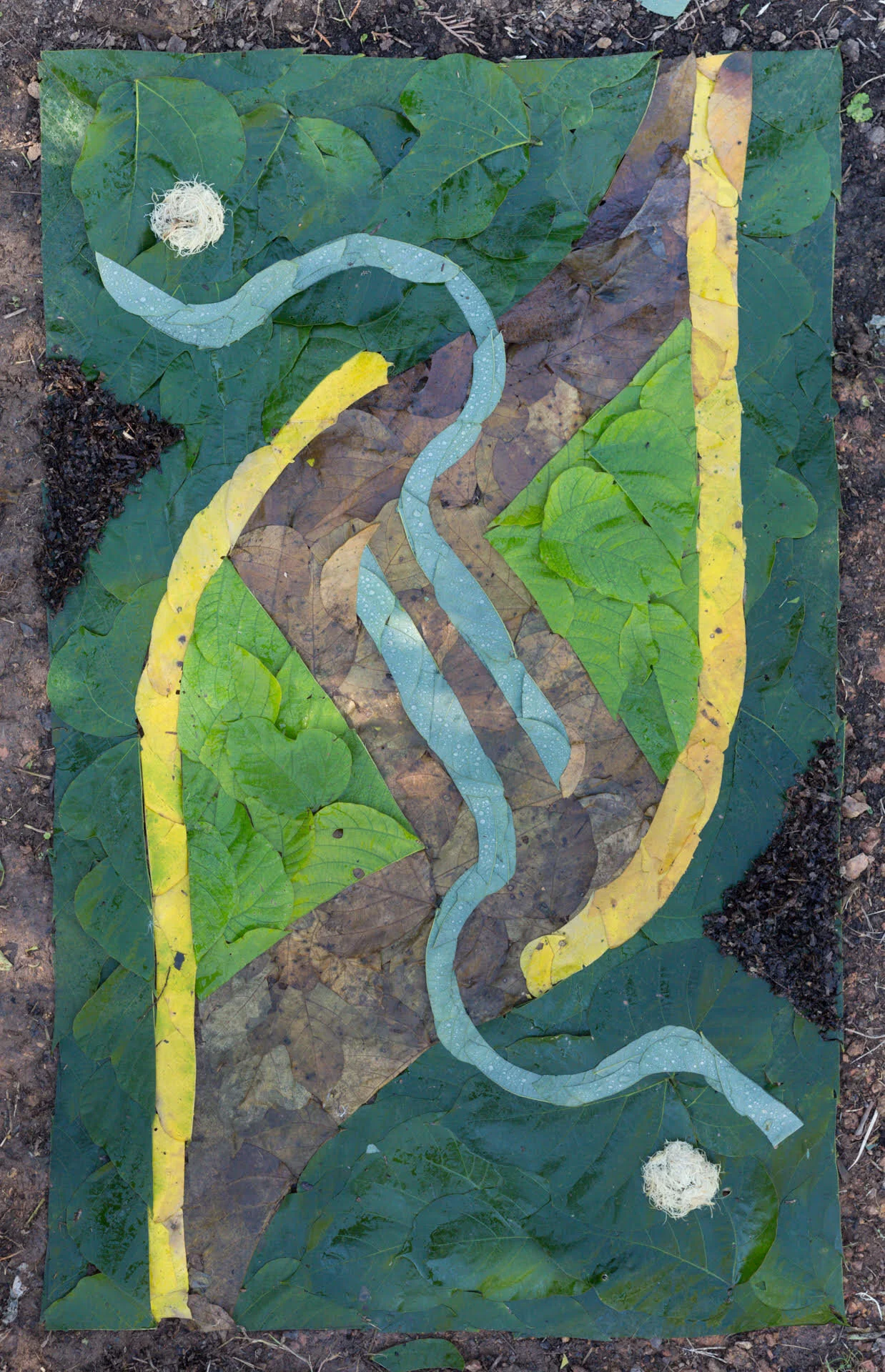 Lauren Farkas Listening kudzu leaves and kudzu vine on soil 20”x30” 2020