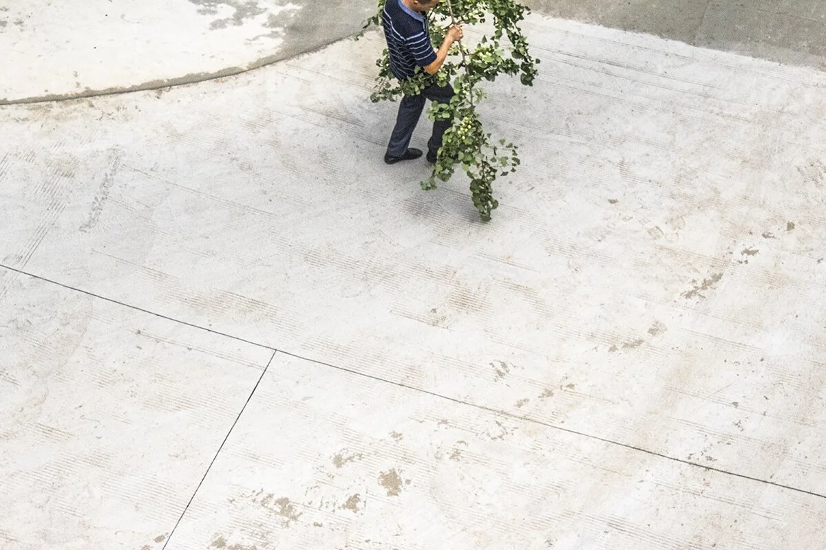 henryhu3 - ribs fold, from series passing parade.jpeg