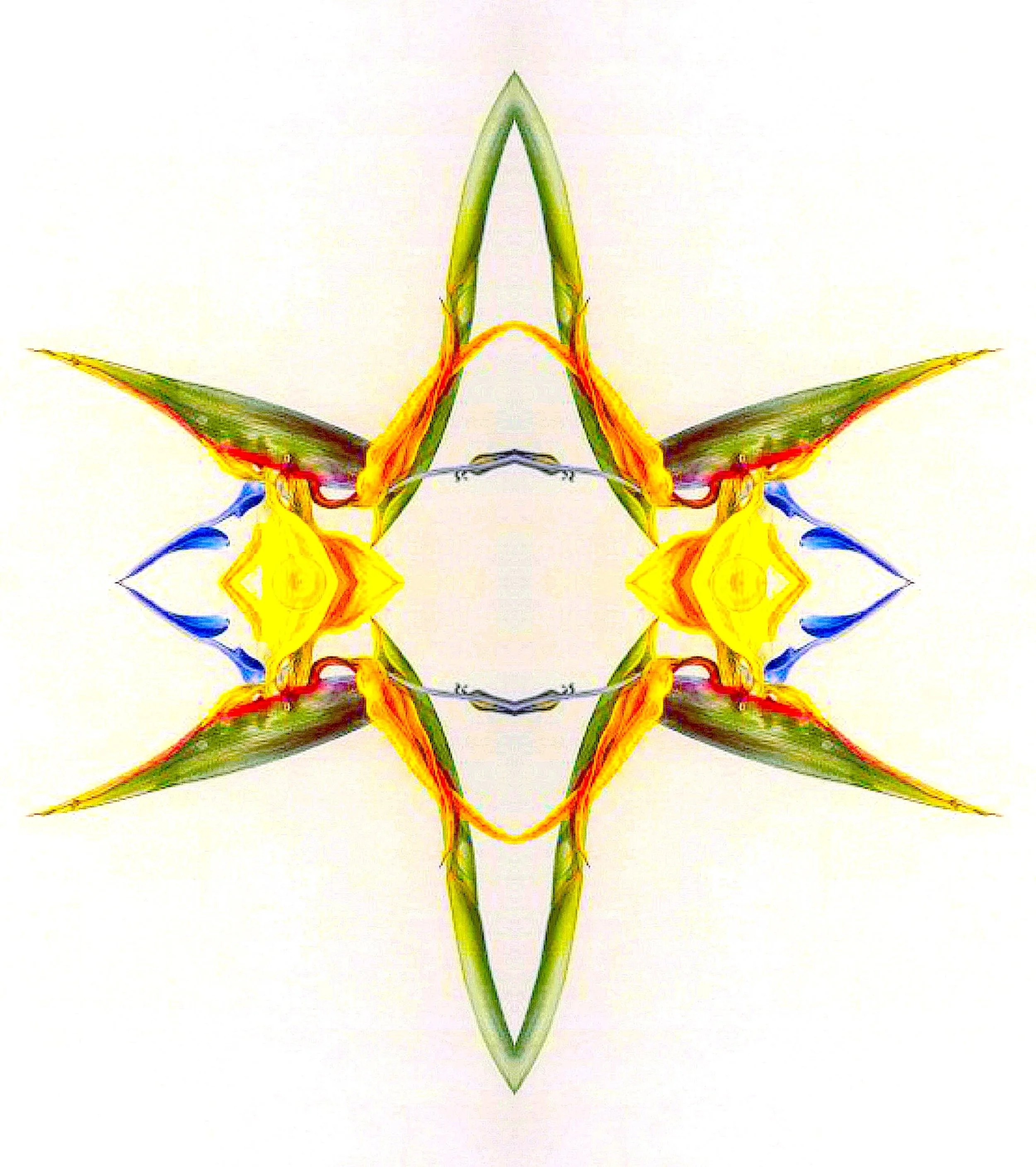 10 Fleeting as the Reflection of Lightning bill wolak.jpg