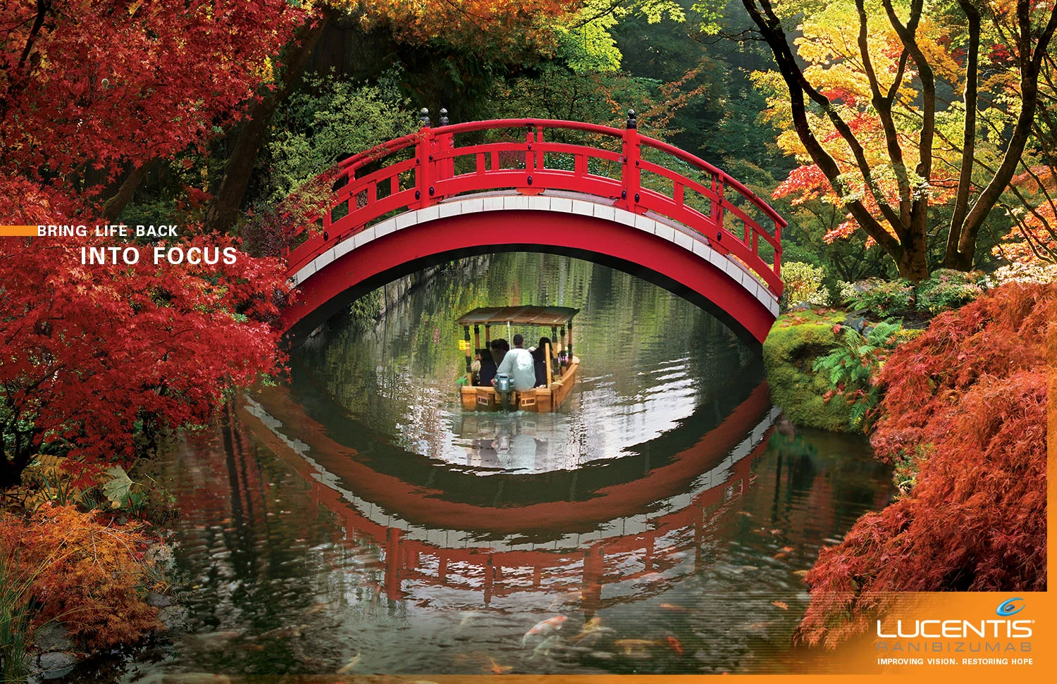 Lusentis Eye copy 2.jpg