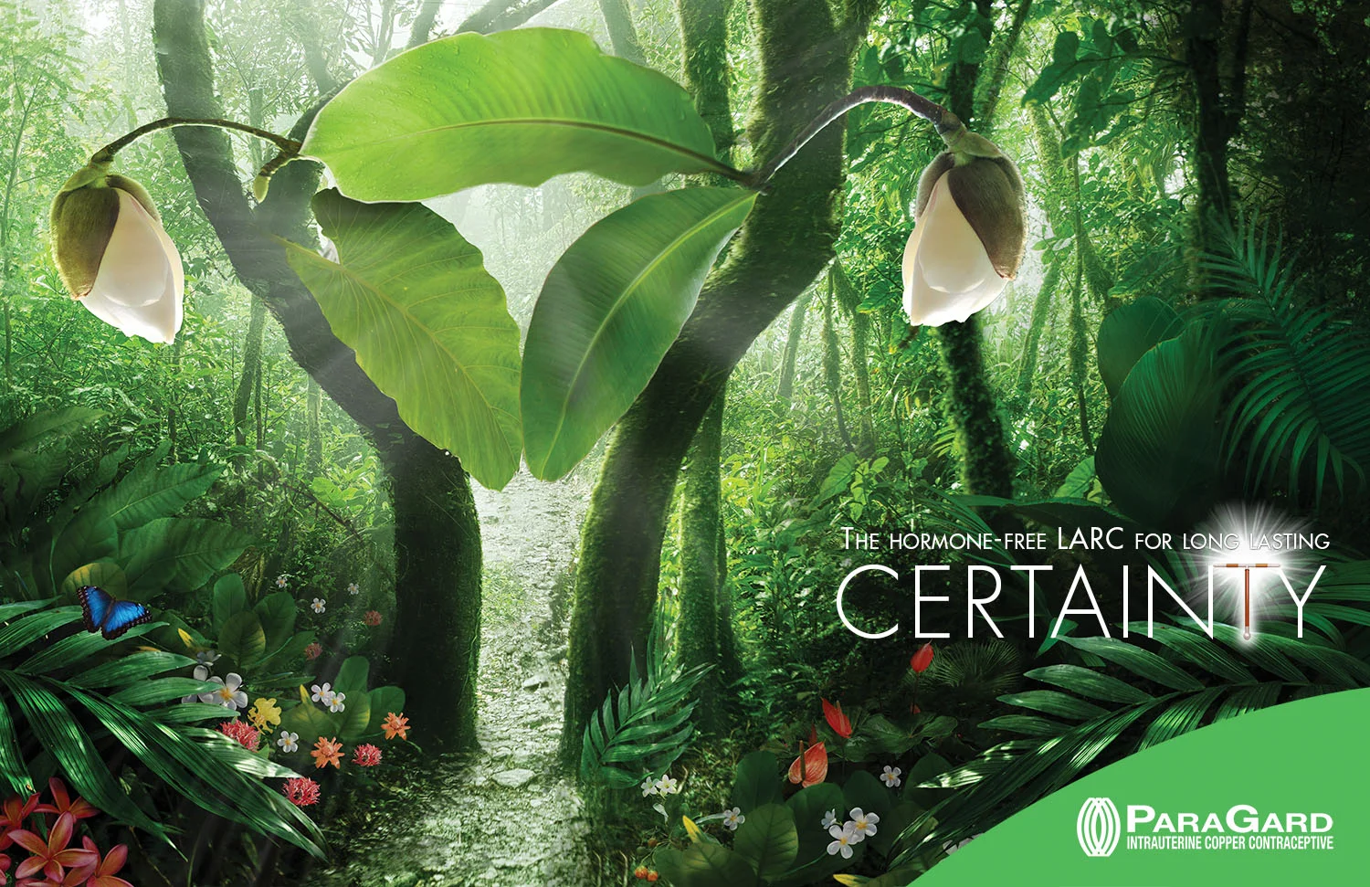 Garden-of-Eden_03DB final.jpg