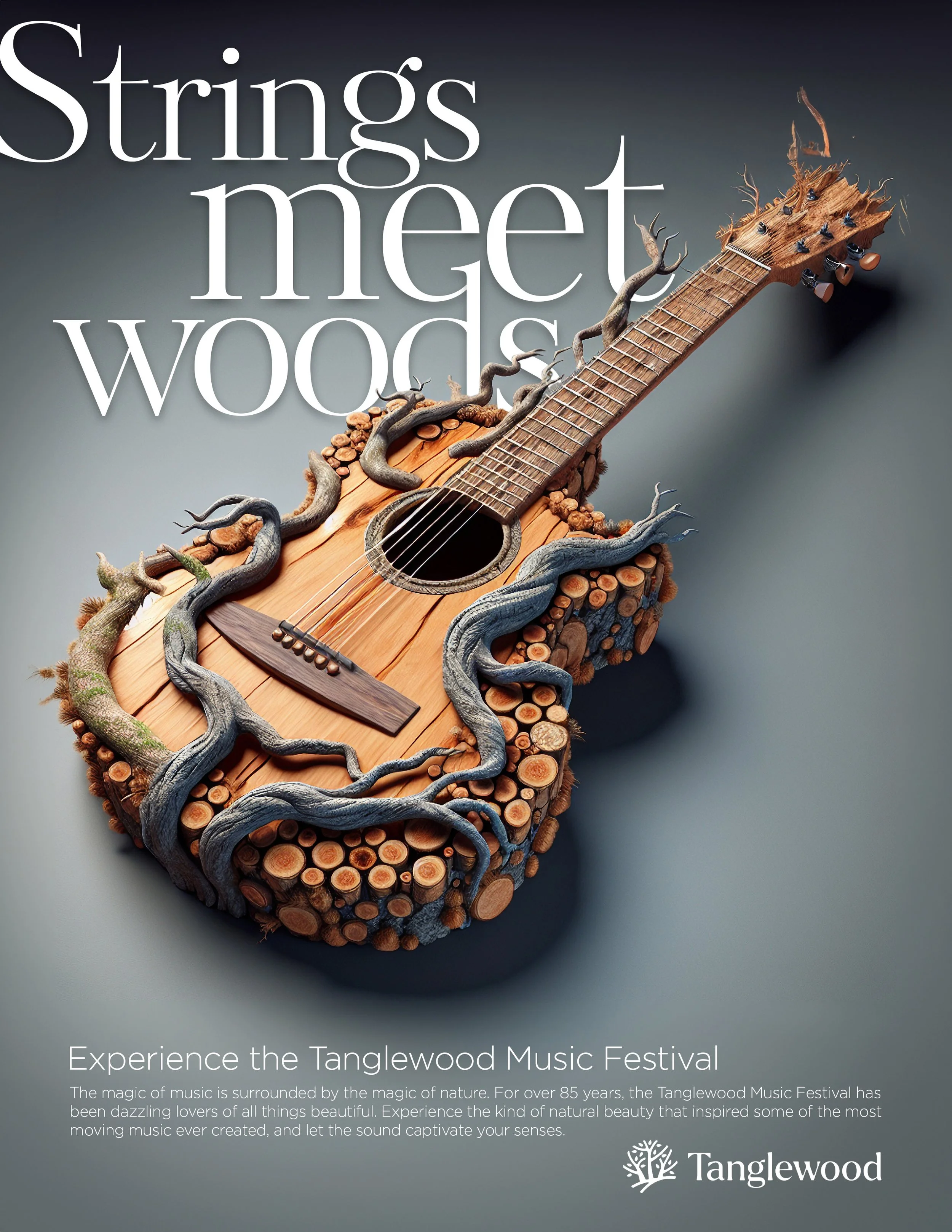 Guitar copy 3 final.jpg