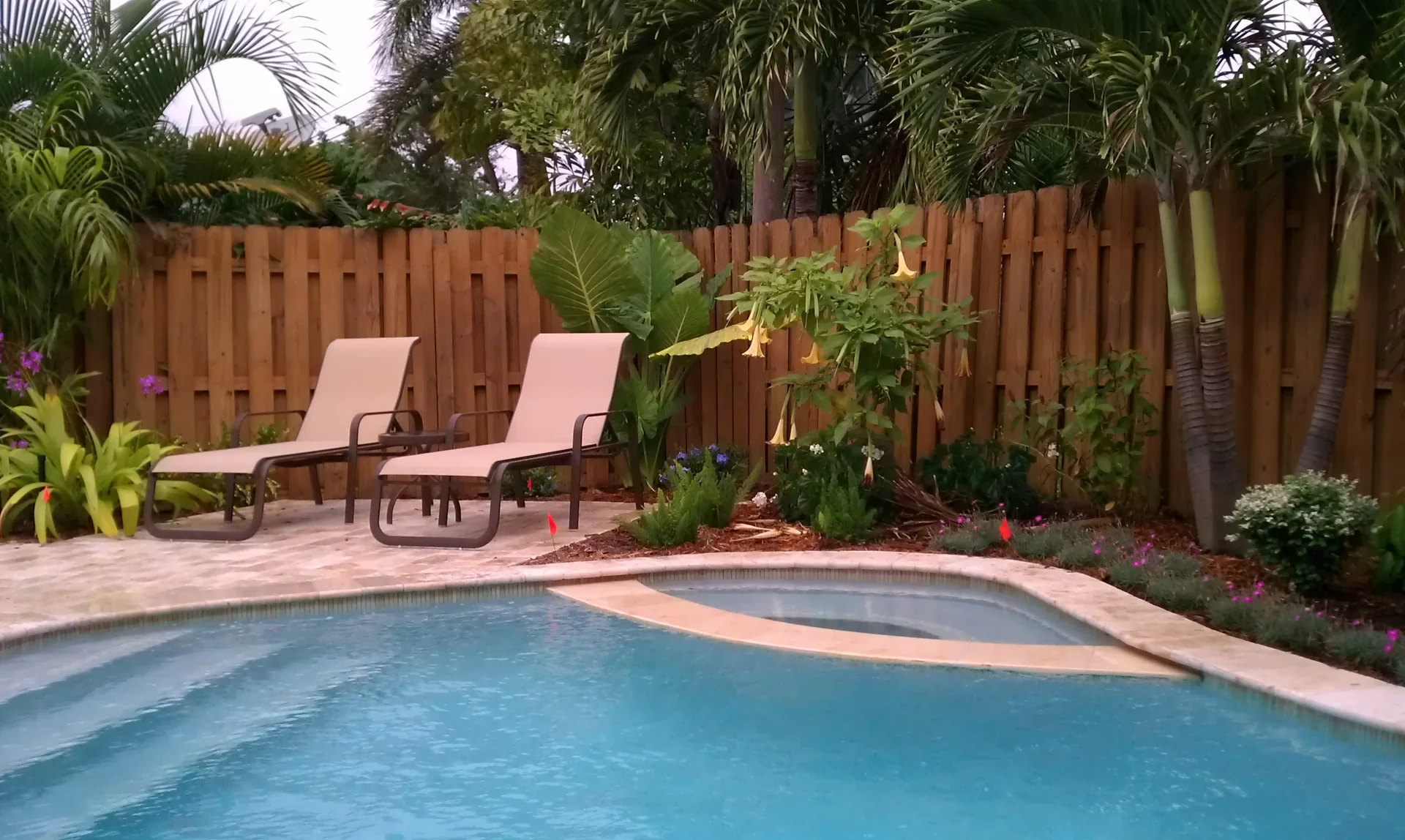 spas, pools1, tile coping, deck